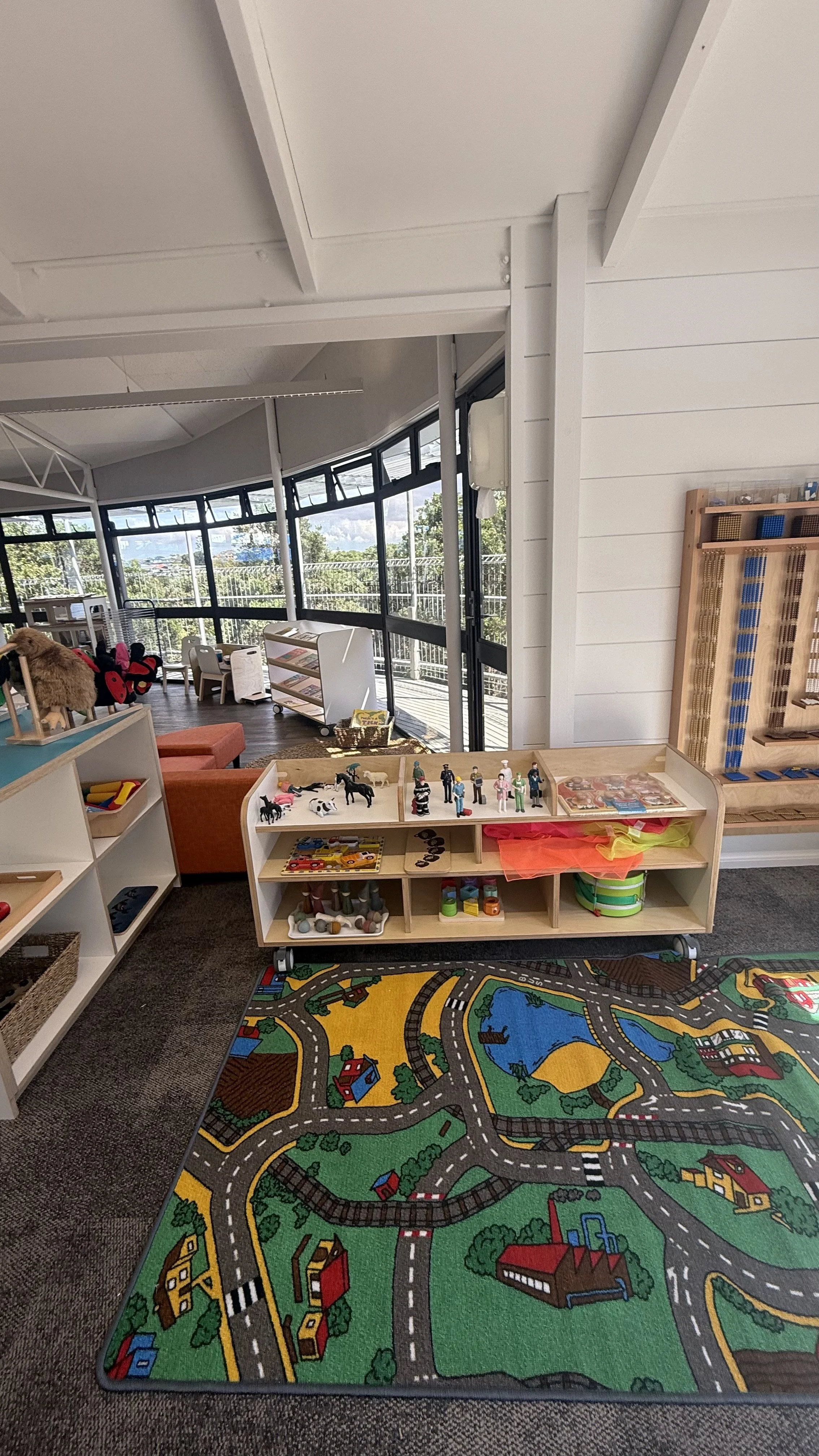 A children's playroom with a colorful carpet, shelves with toys, and large windows showing trees outside at Killarney Kids Bespoke Early Learning in Takapuna at Kids Group.