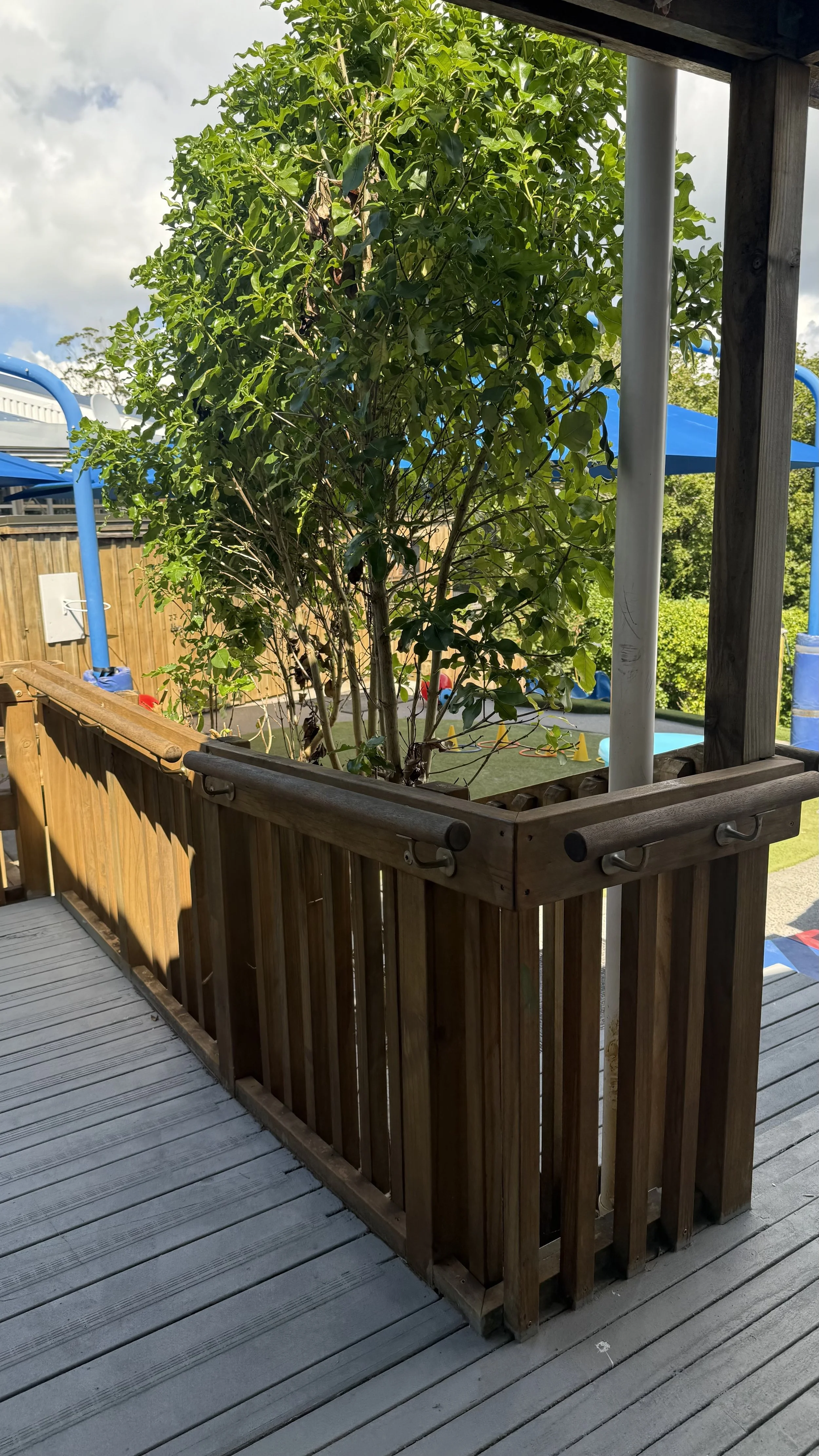 A wooden deck with a railing surrounds a small tree, with a backyard and some play equipment visible in the background at Killarney Kids Bespoke Early Learning in Takapuna at Kids Group.