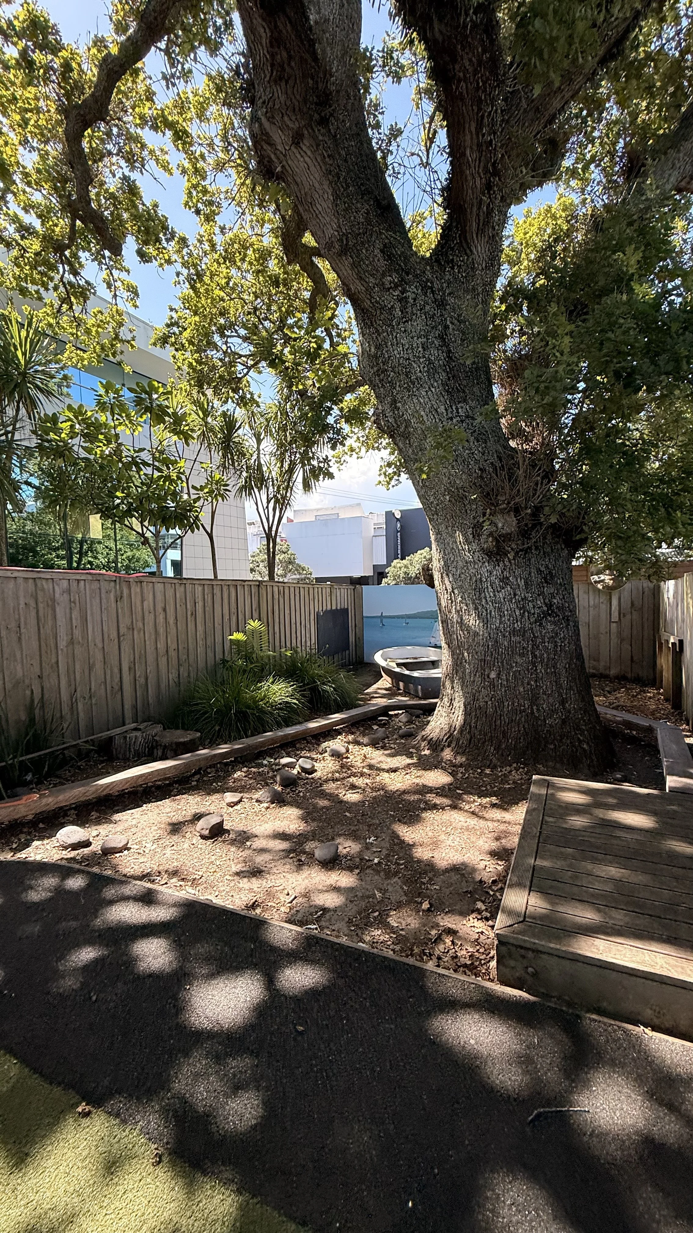 A backyard scene with a large tree, a wooden fence, and a small boat on the ground. There are plants and shadows on the ground, and a building and trees are visible in the background at Kiwi Kids Early Learning in Takapuna at Kids Group.