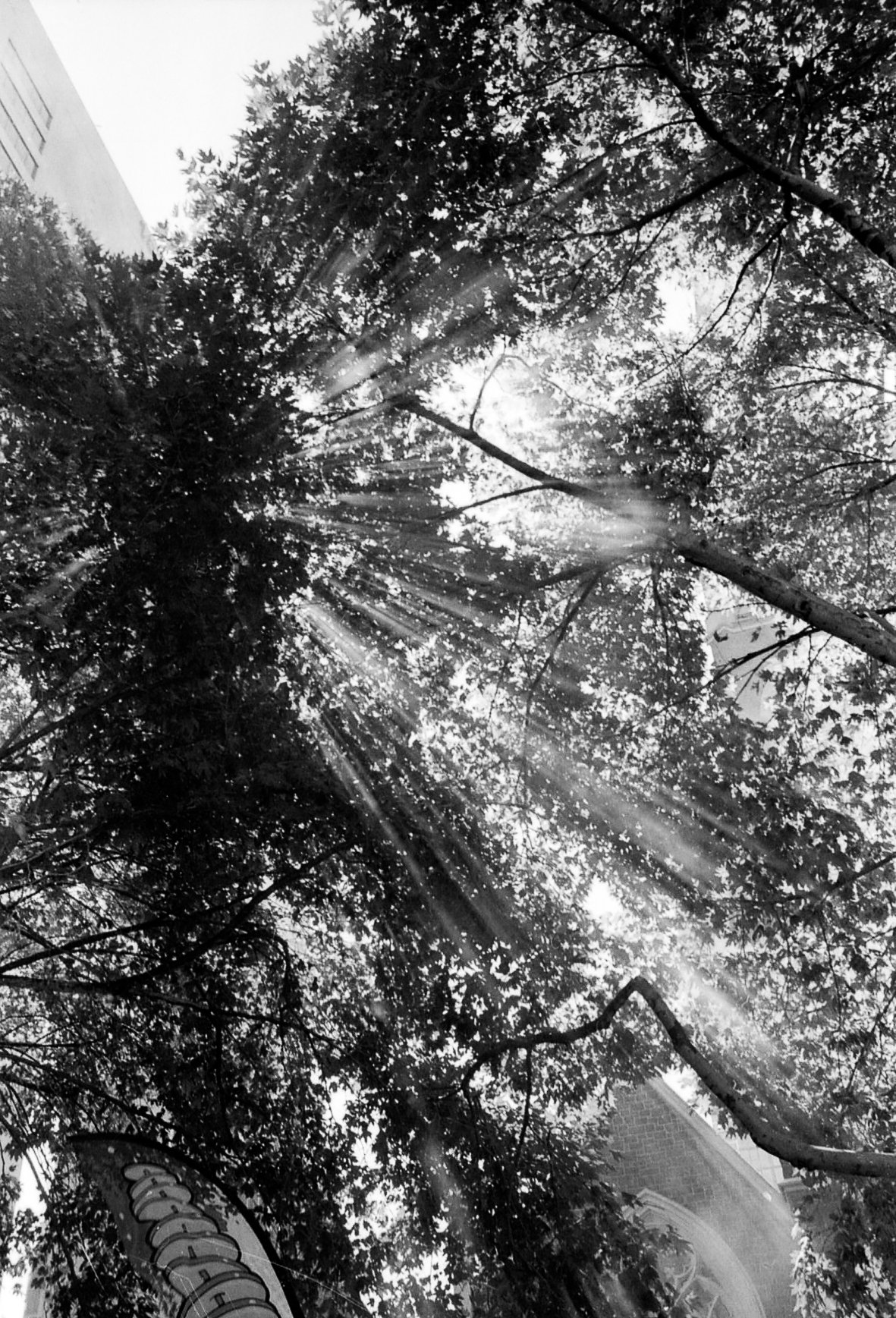 6 Schools of Indian Philosophy #1: Nyaya