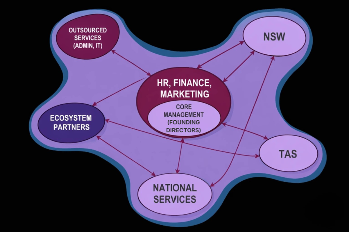 A different approach to organisation structure in a technical consultancy