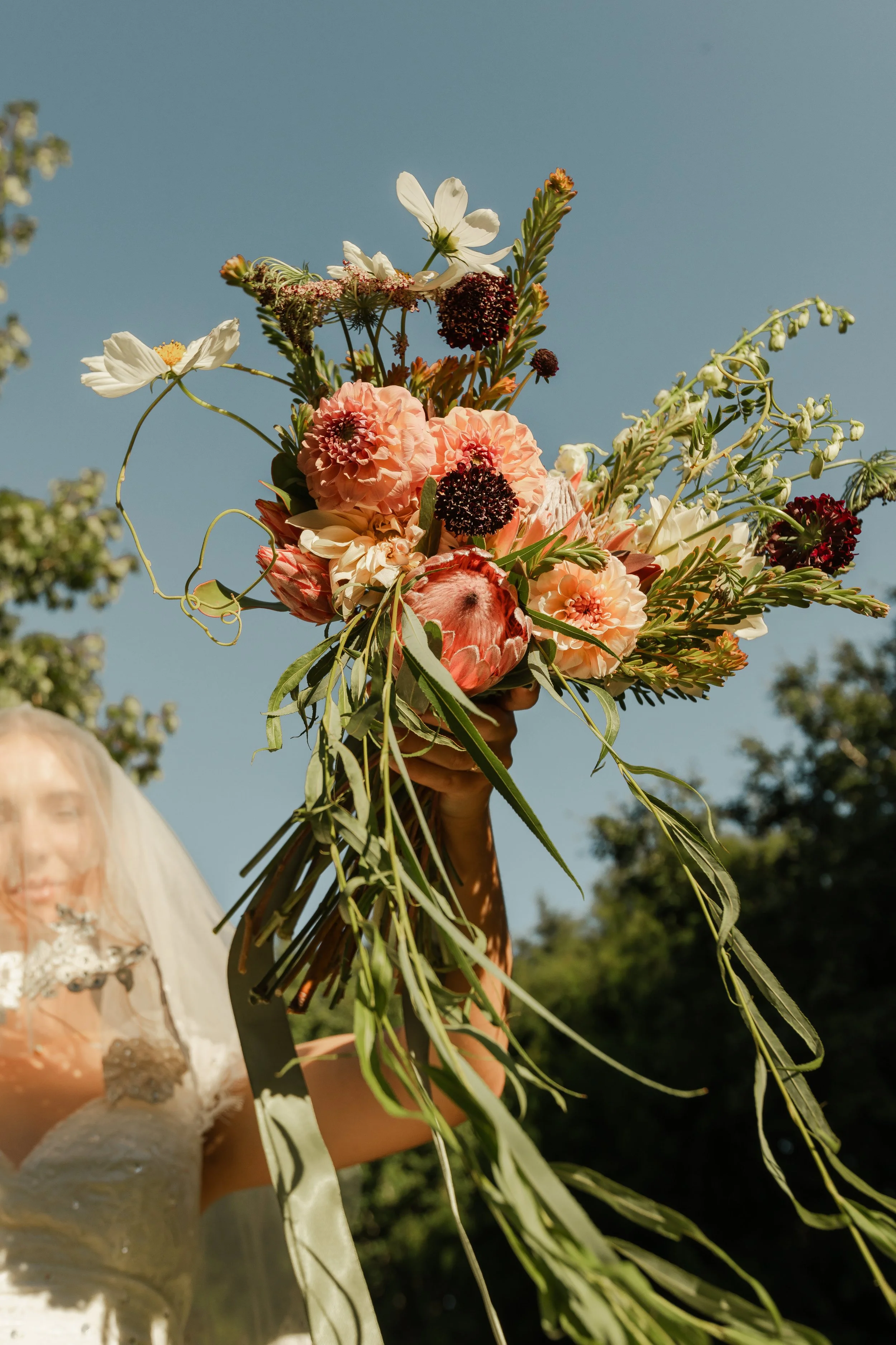 Saying Yes: My Experience at the 11th Australian Wildflower Conference