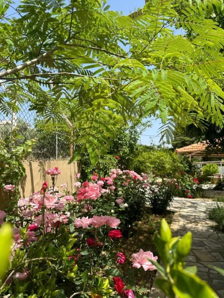 WalkGarden - Copy.jpg