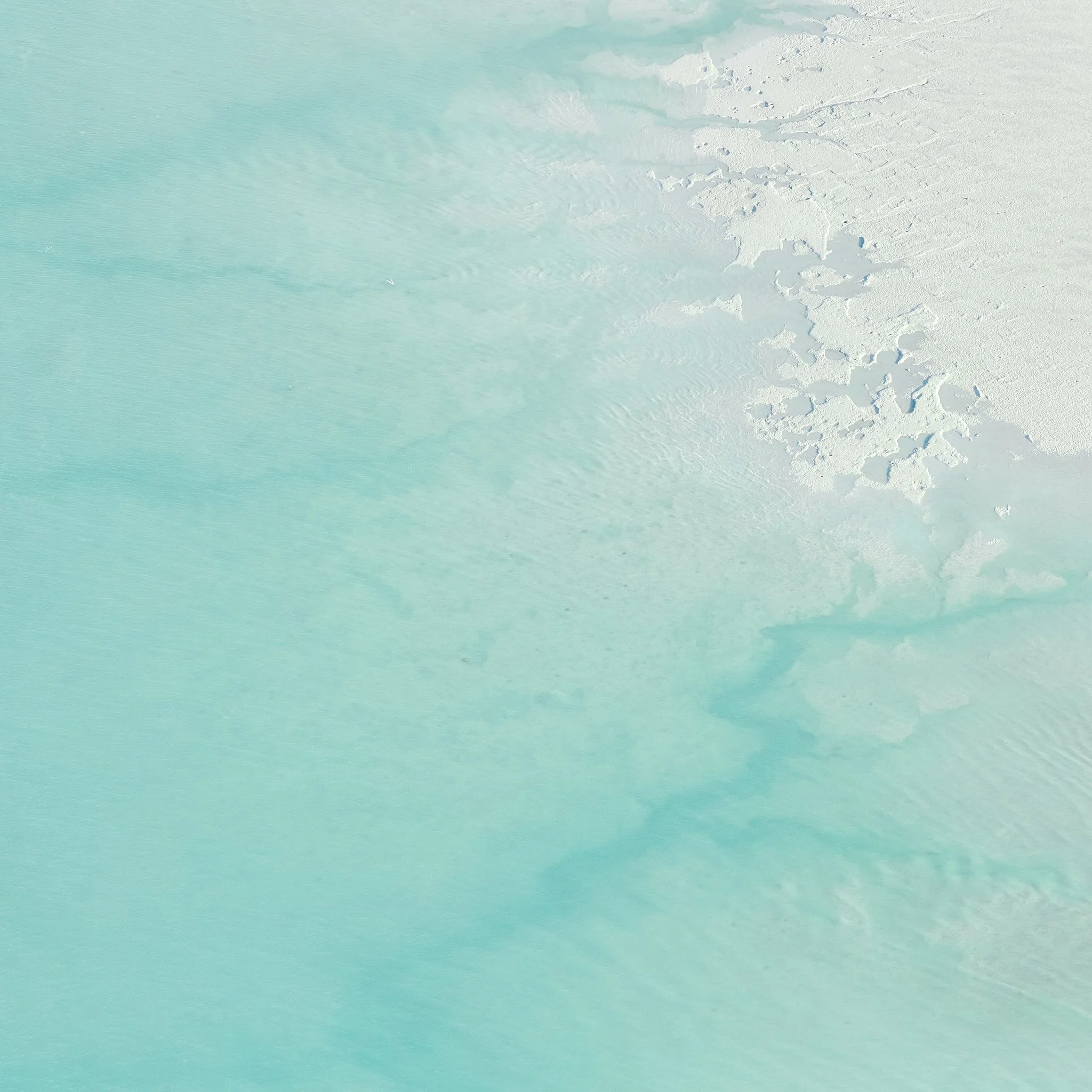 SHORELINE 4, BROOME 12x12