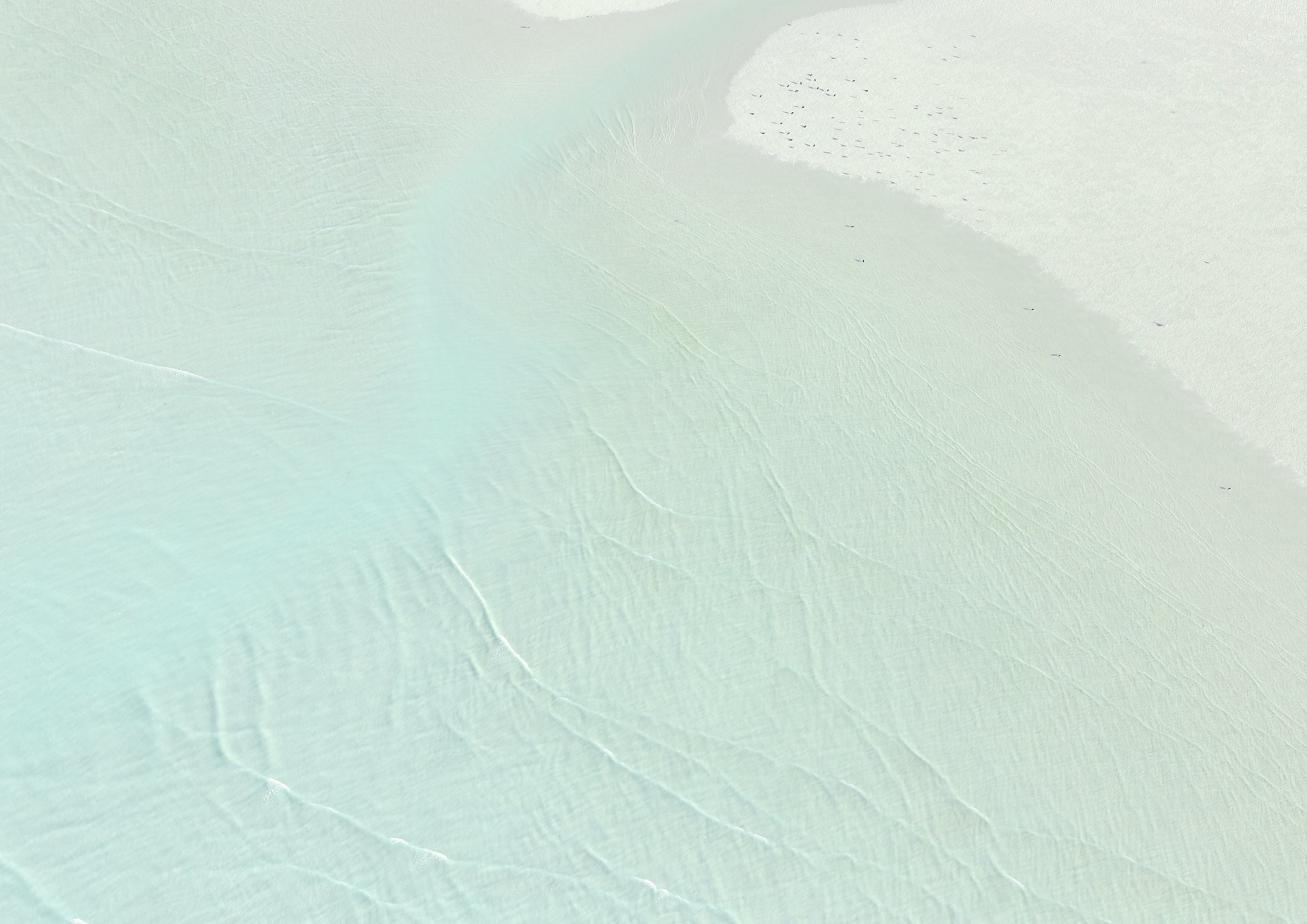 SHORELINE 3, BROOME A2