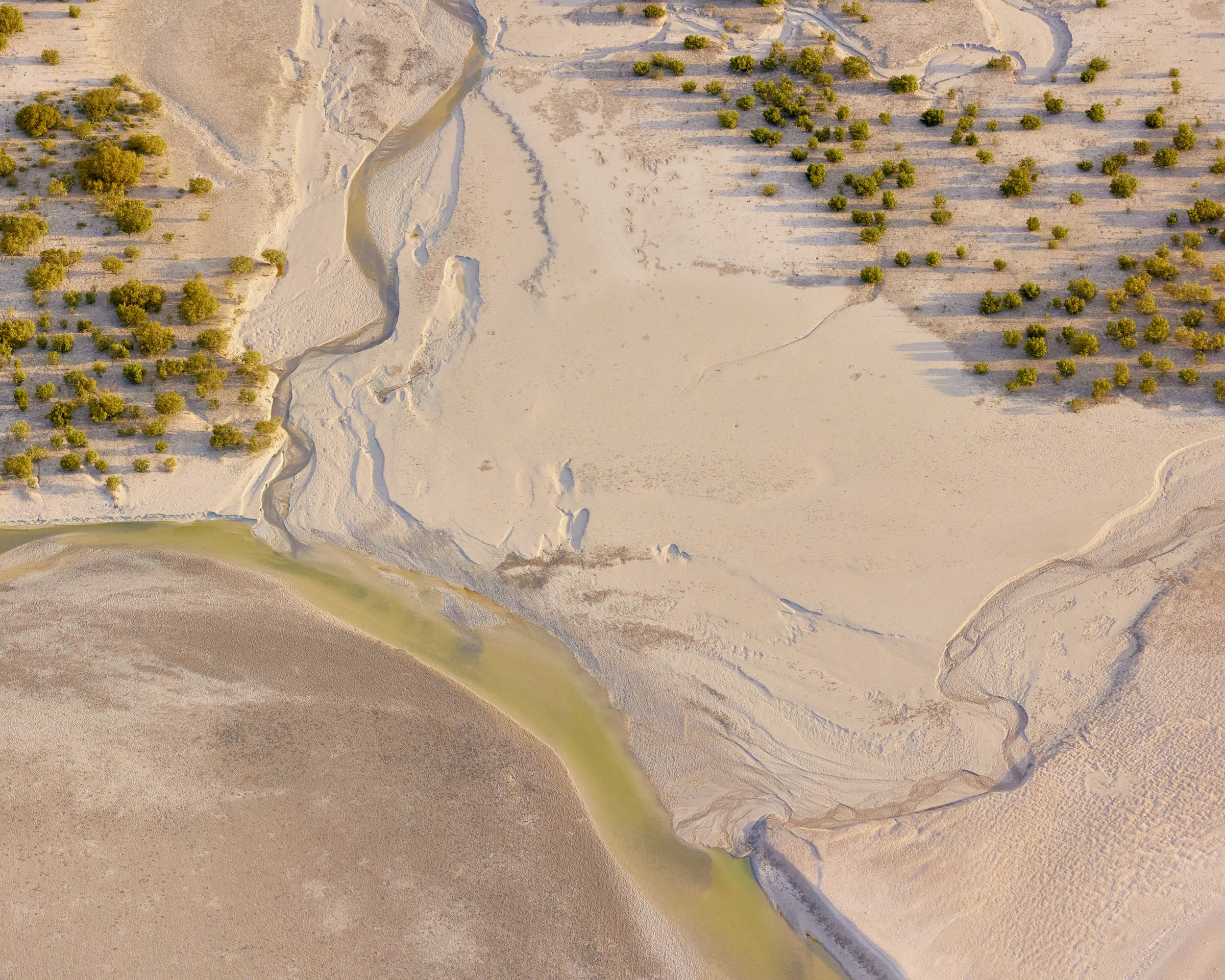MANGROVES 2, BROOME 8x10