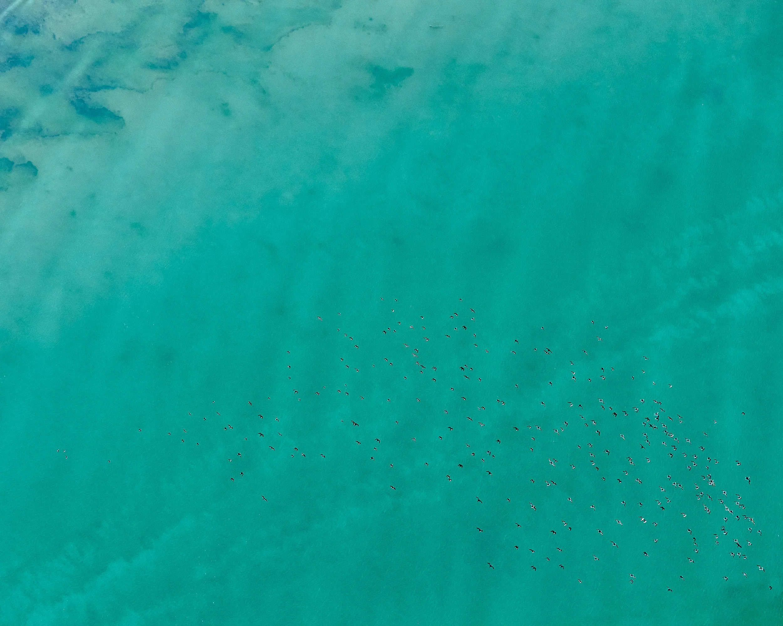 OCEAN 4, BROOME 8x10