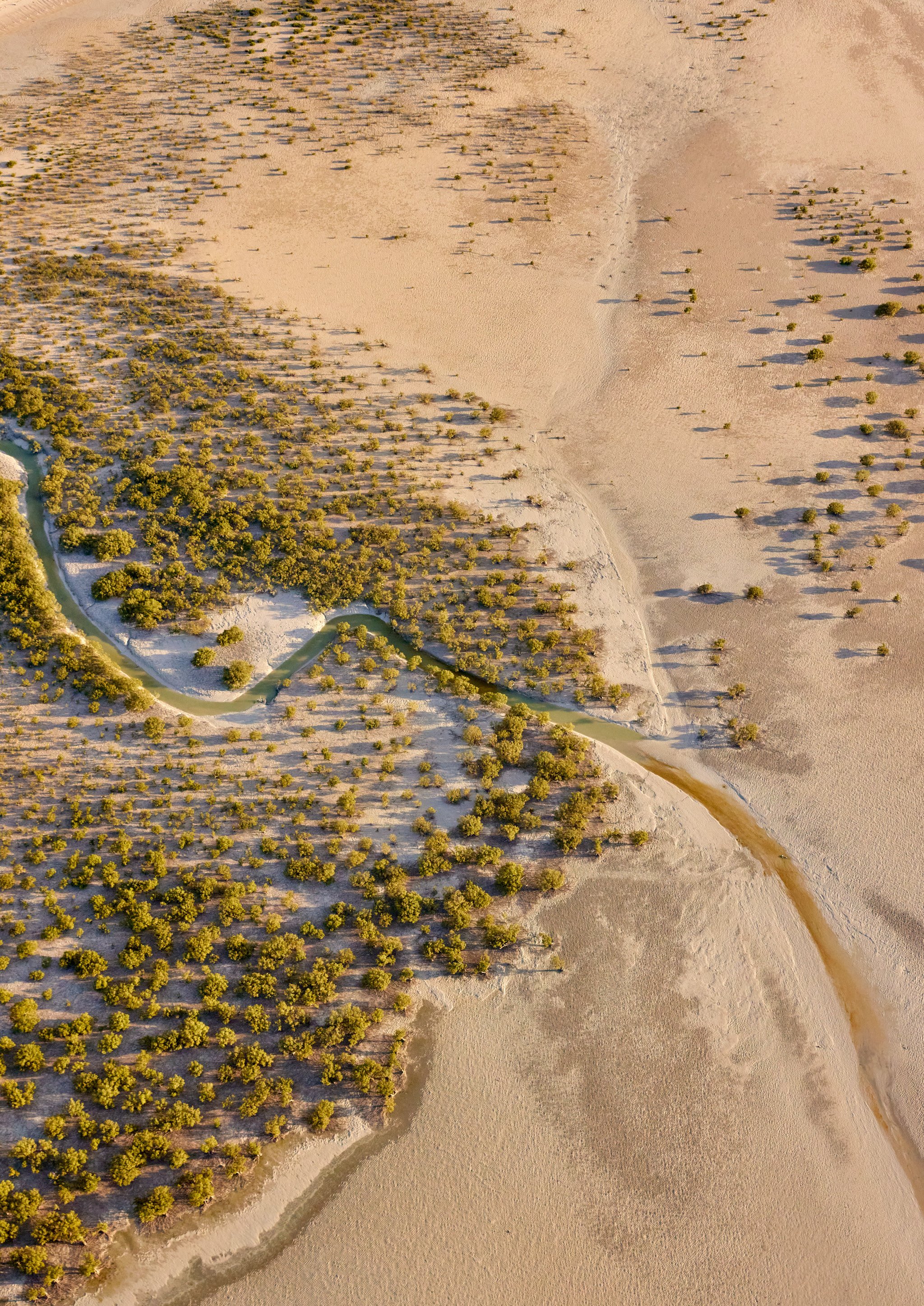 LOW TIDE 1, BROOME A2