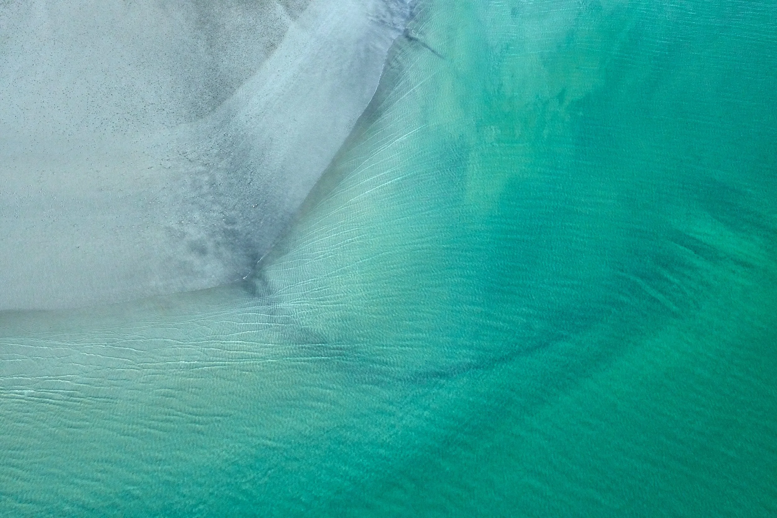 STINGRAY 1, BROOME - FRAMED