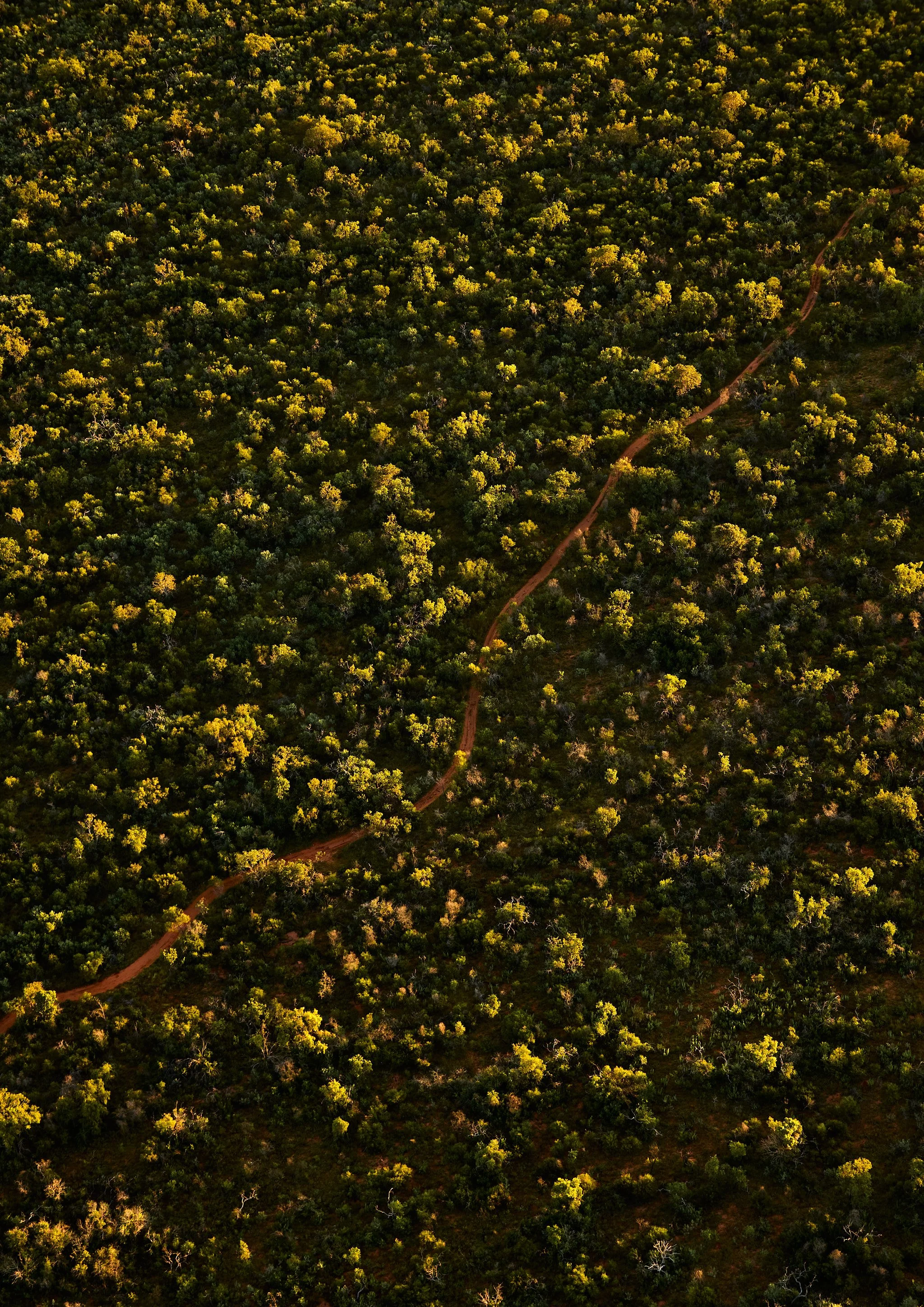 BUSH TRACK, BROOME A2