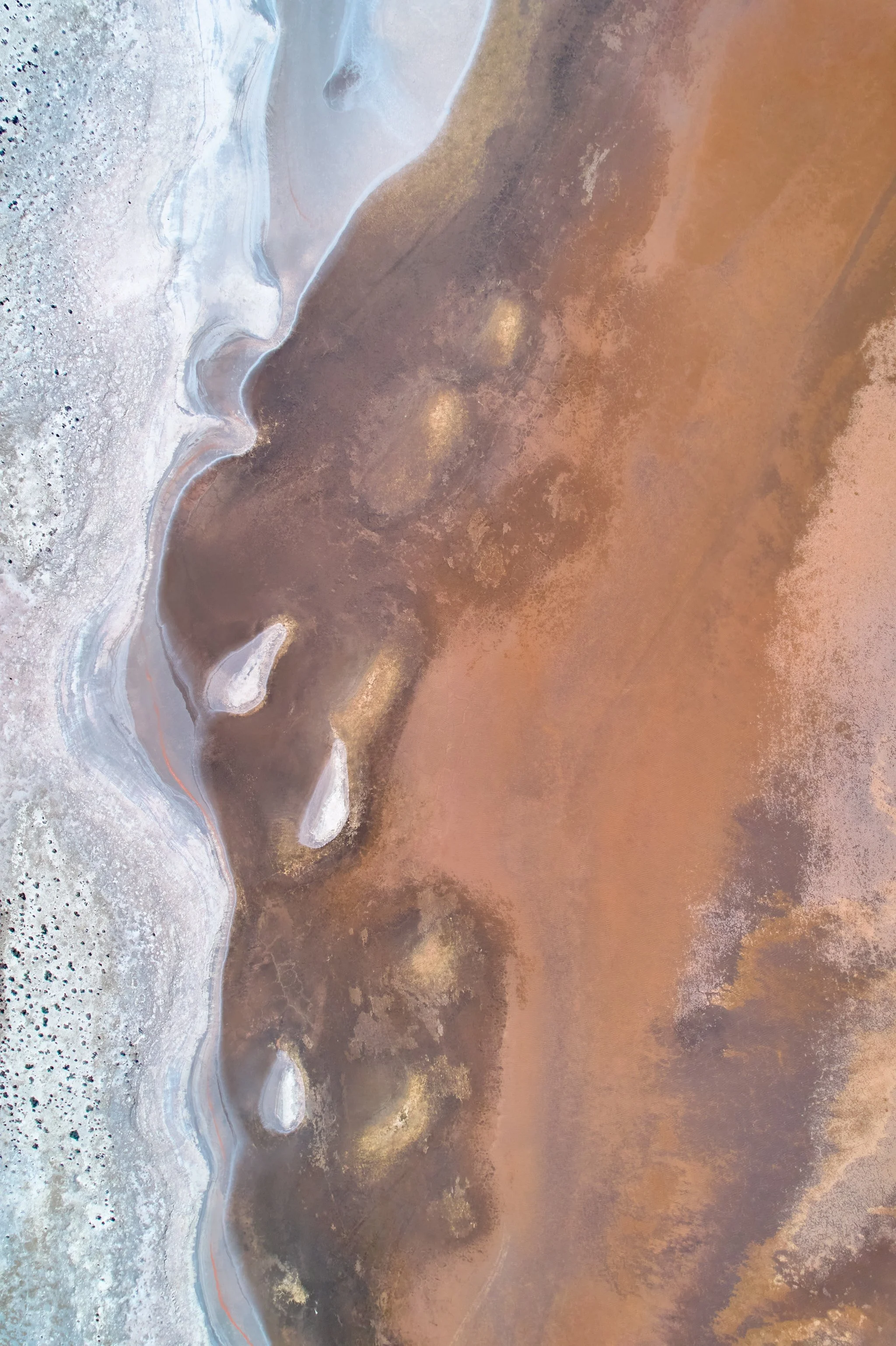 SALT LAKE 2, WA A2