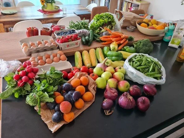 assorted fresh vegetables and fruits including apples, carrots, broccoli, onions, peas, cucumbers, eggplants, apricots, blueberries, radishes, and corn on a kitchen counter
