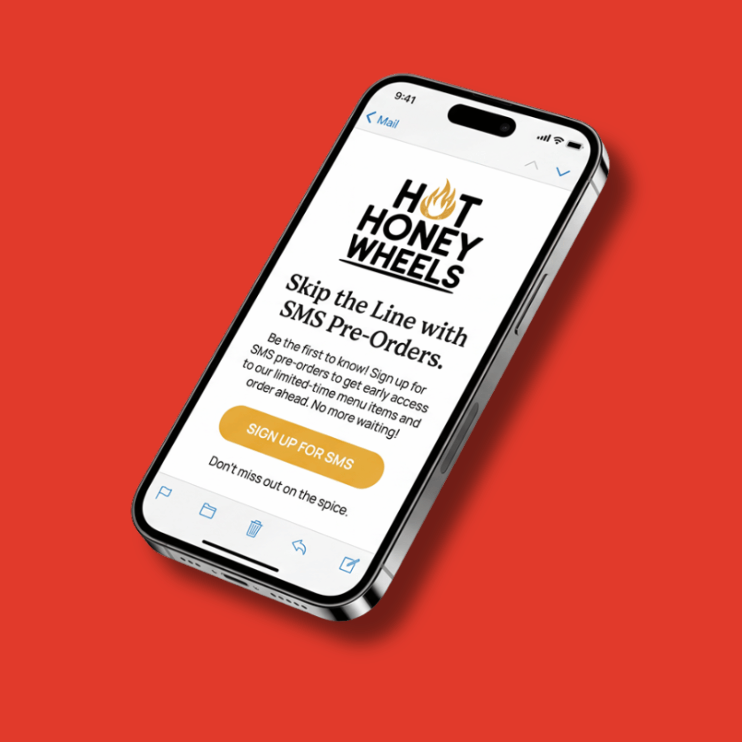 wiseluxe-consulting-hot-honey-wheels-email-marketing-4.png