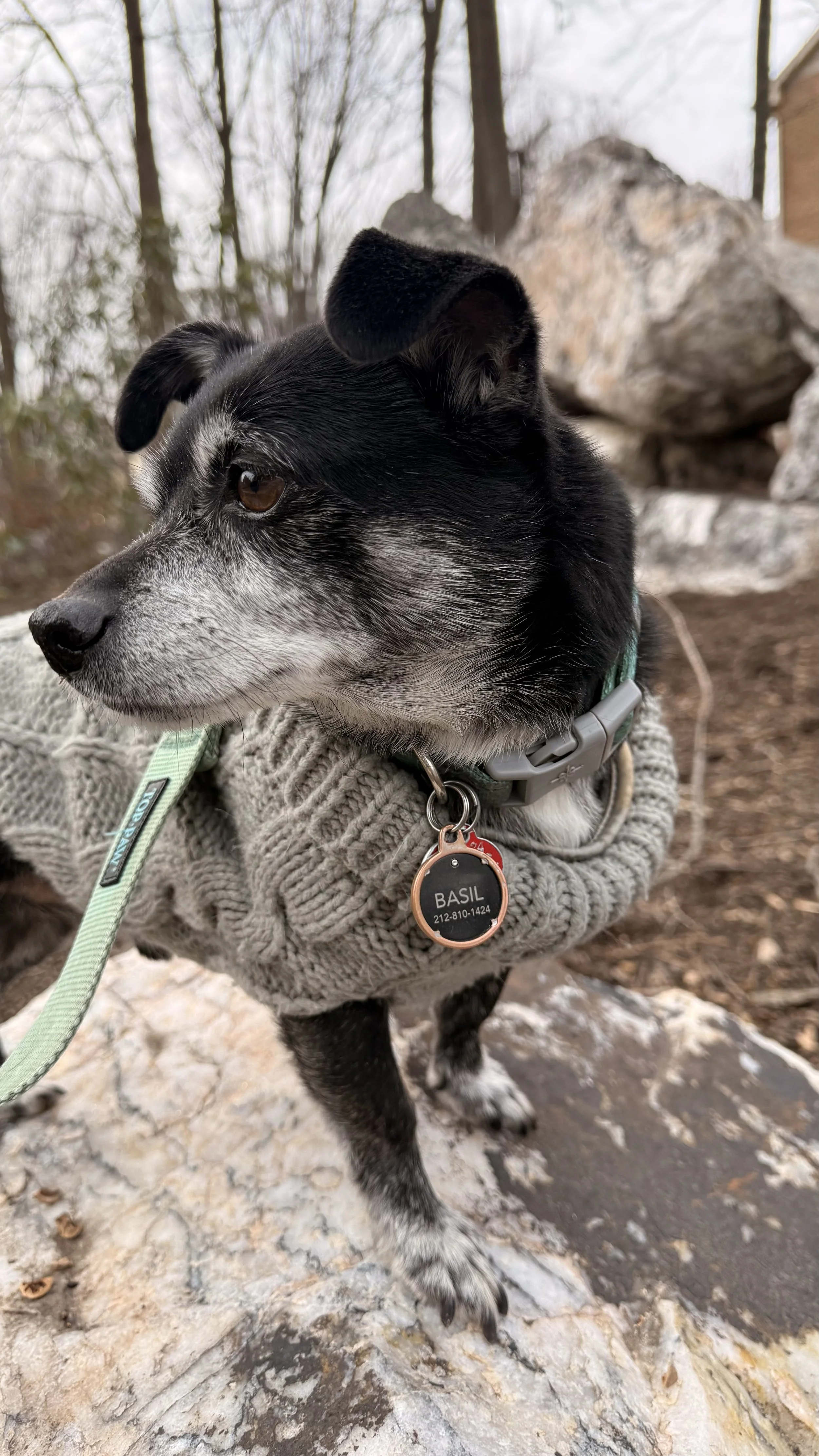 Basil is exploring a neighborhood in North Bethesda, MD. 