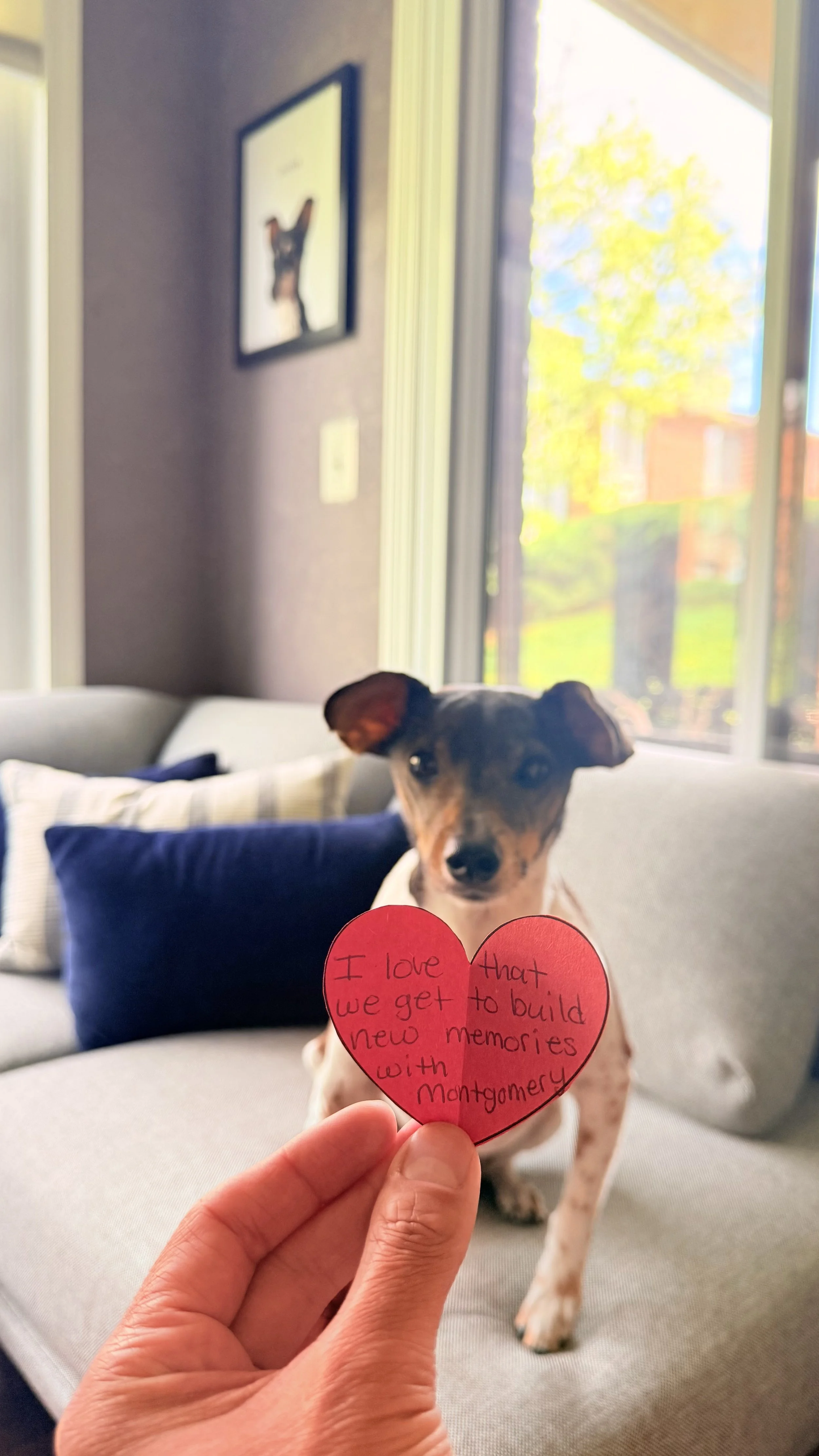 Mo Mo, a Rat Terrier sitting on a couch with a heart-shaped note in front of it that reads, 'I love that we get to build new memories with Montgomery.' The background shows a living room with a window and a photo frame on the wall.