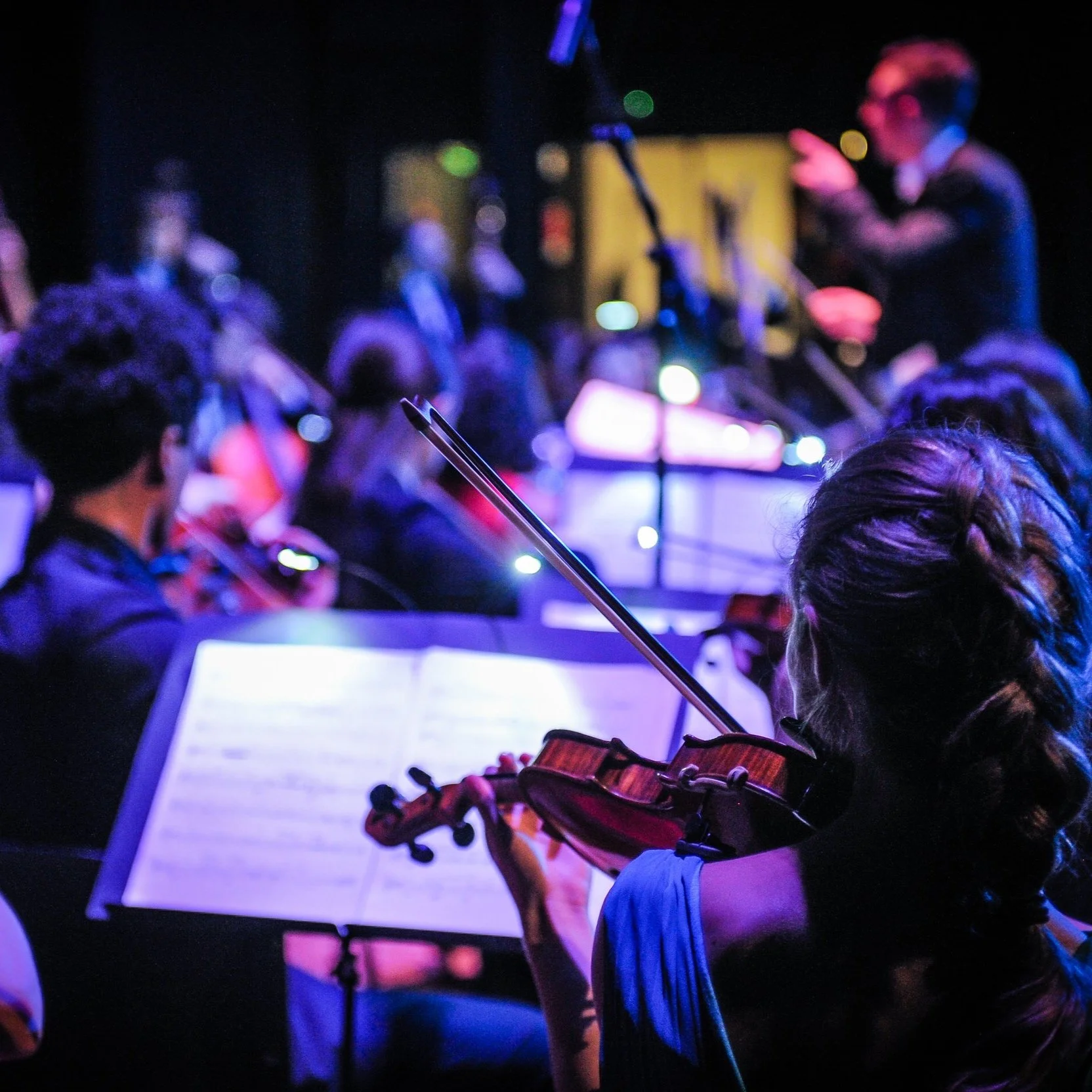 Fila di violini fotografati di spalle sul palco