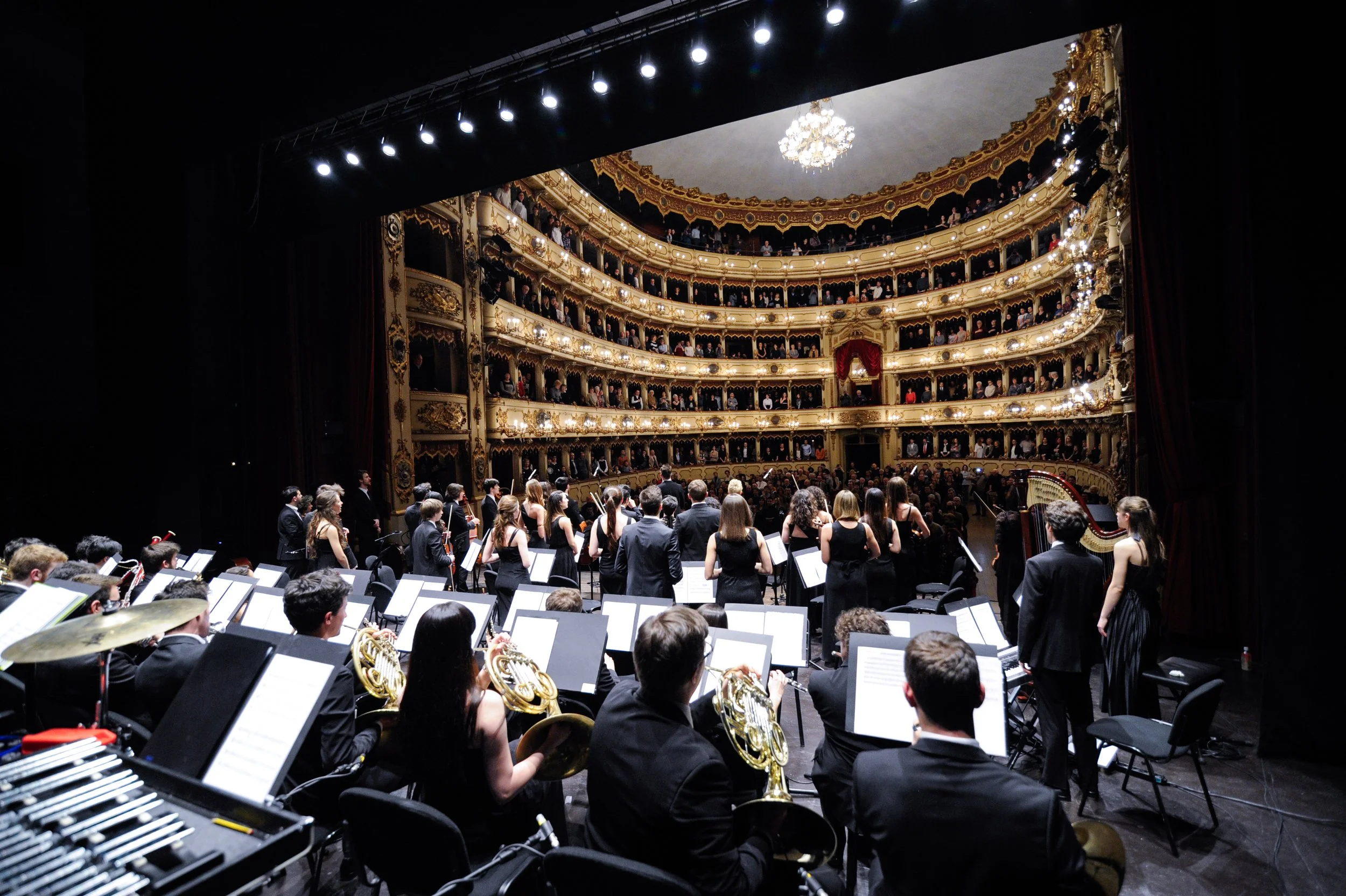 Gaga Symphony di spalle sul palco del Teatro Ponchielli di Cremona