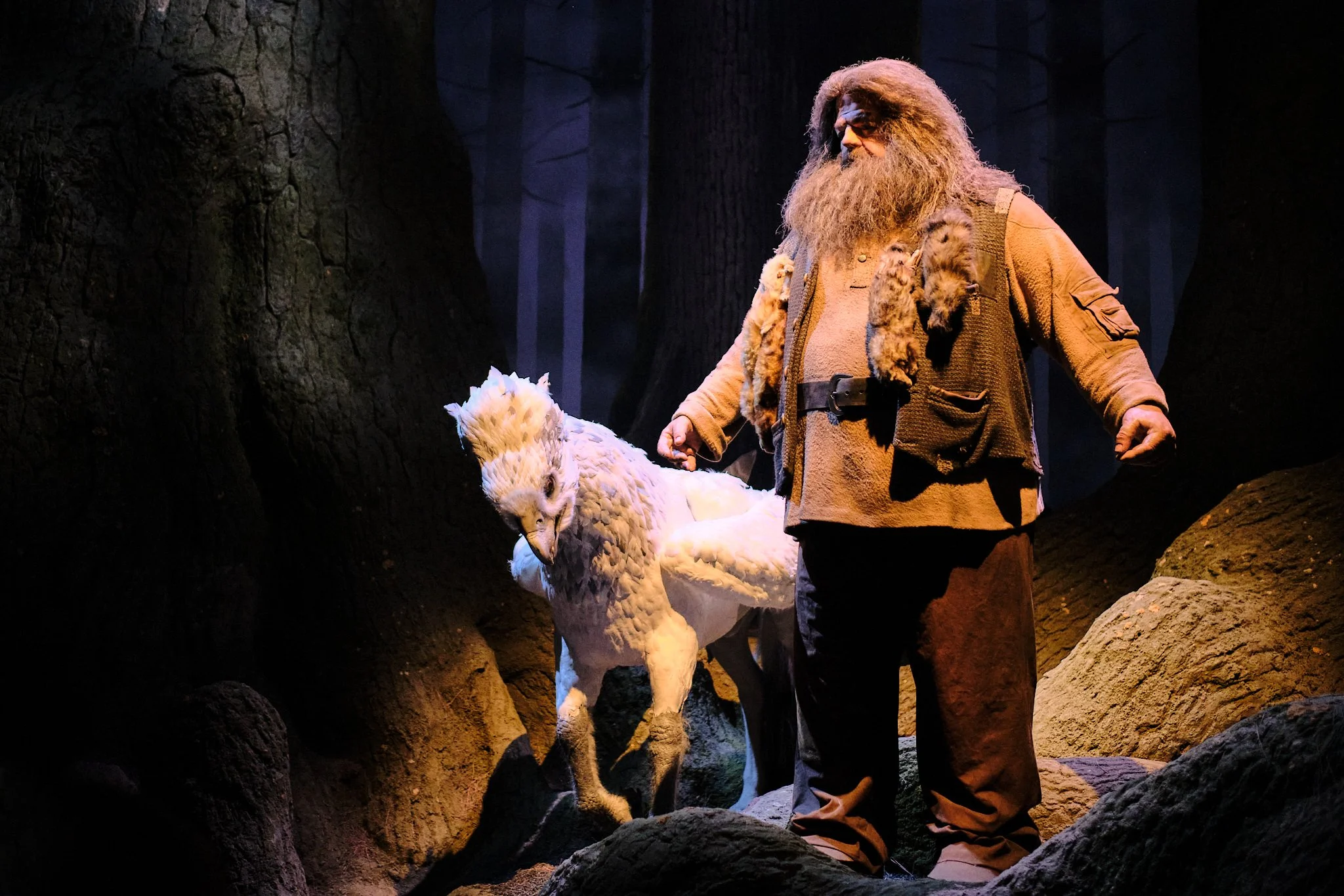 Harry Potter, Warner Brothers Studios, Tokyo