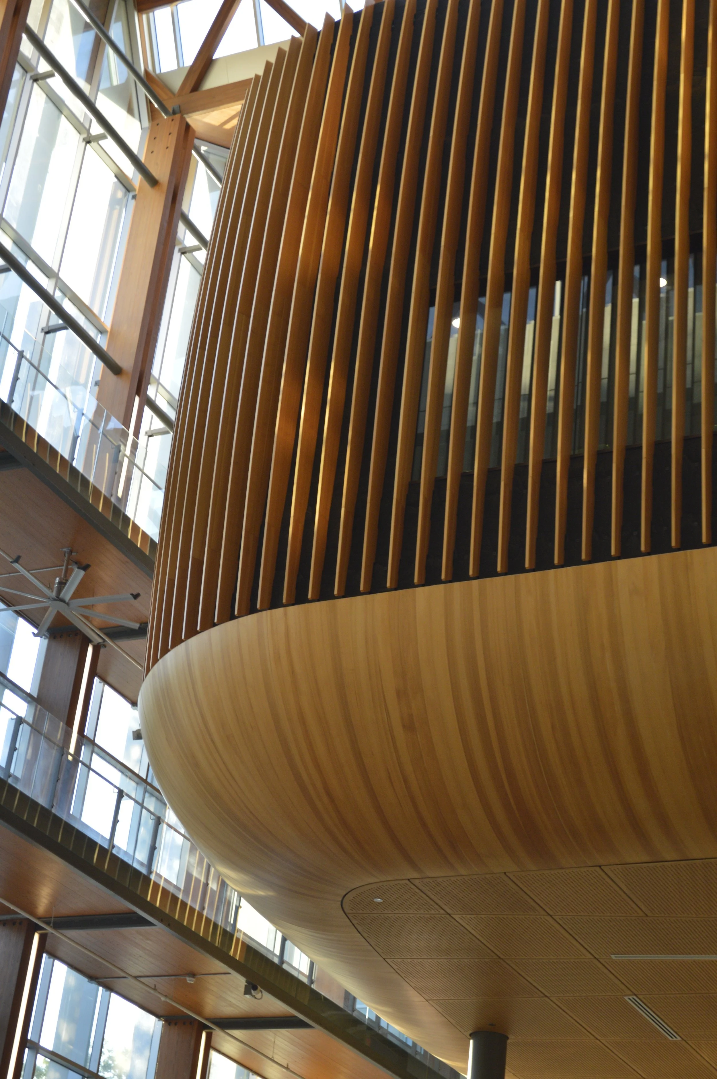 Interior view of a modern building showcasing a curved wooden ceiling structure with vertical wooden slats and large windows allowing natural light.