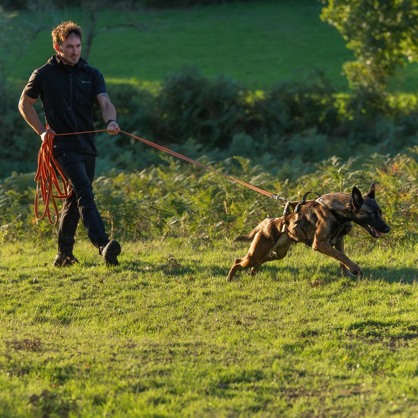 MANTRAILING is something we have recently started doing.  Think Search &amp; Rescue for hobbyists. 

I have done TRACKING over the years but I much prefer Mantrailing and how the dog is free to utilise their nose as they see fit, rather than simply t