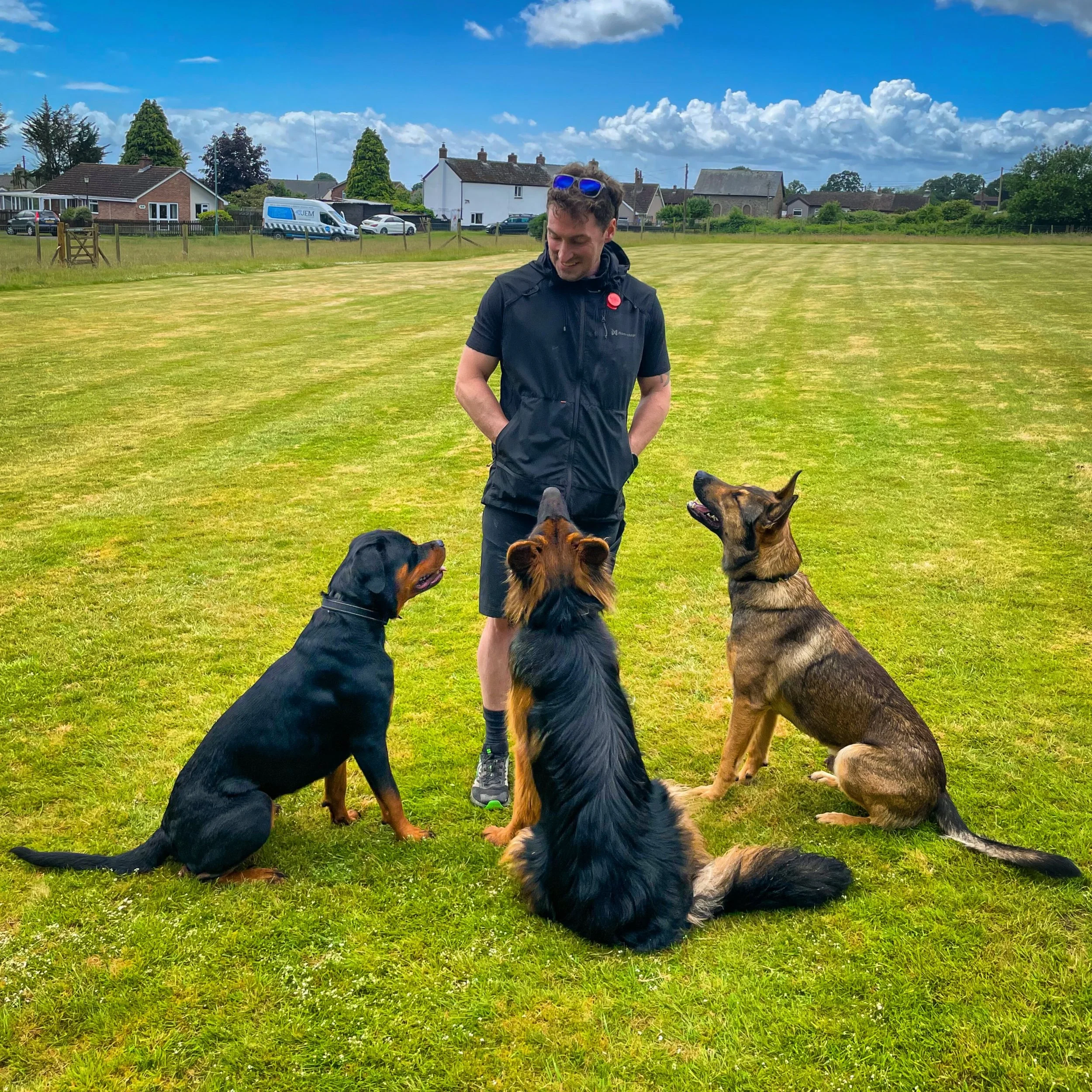 Today was an awesome day&hellip; Alfred &amp; Diva (young Rottie who has been on the board &amp; Train Programme) helped Erin the 9 month old GSD find neutrality throughout the session despite being a &ldquo;REACTIVE&rdquo; dog.

Taking such wins aft