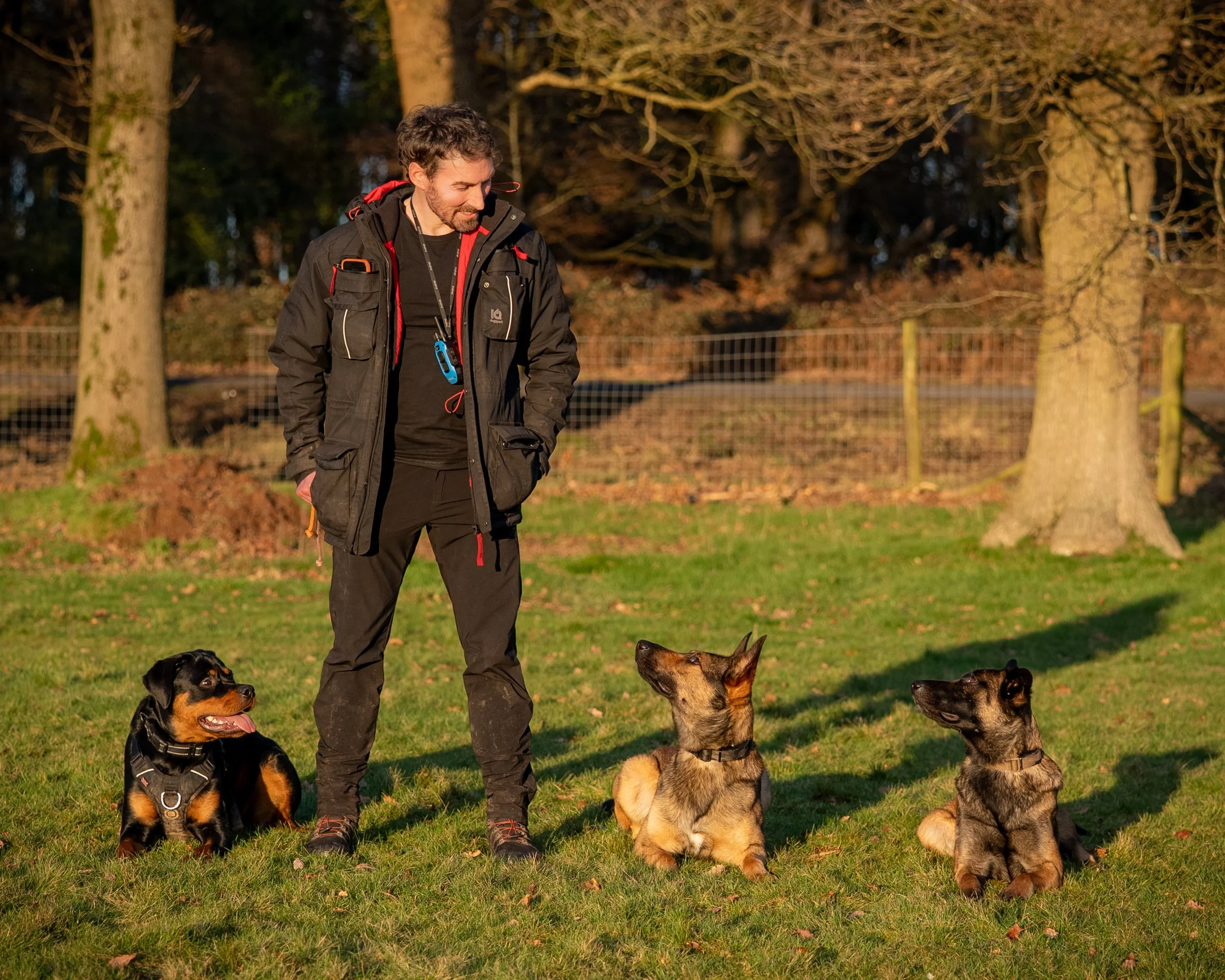 Precision K9 trainer standing in a field with three trained dogs