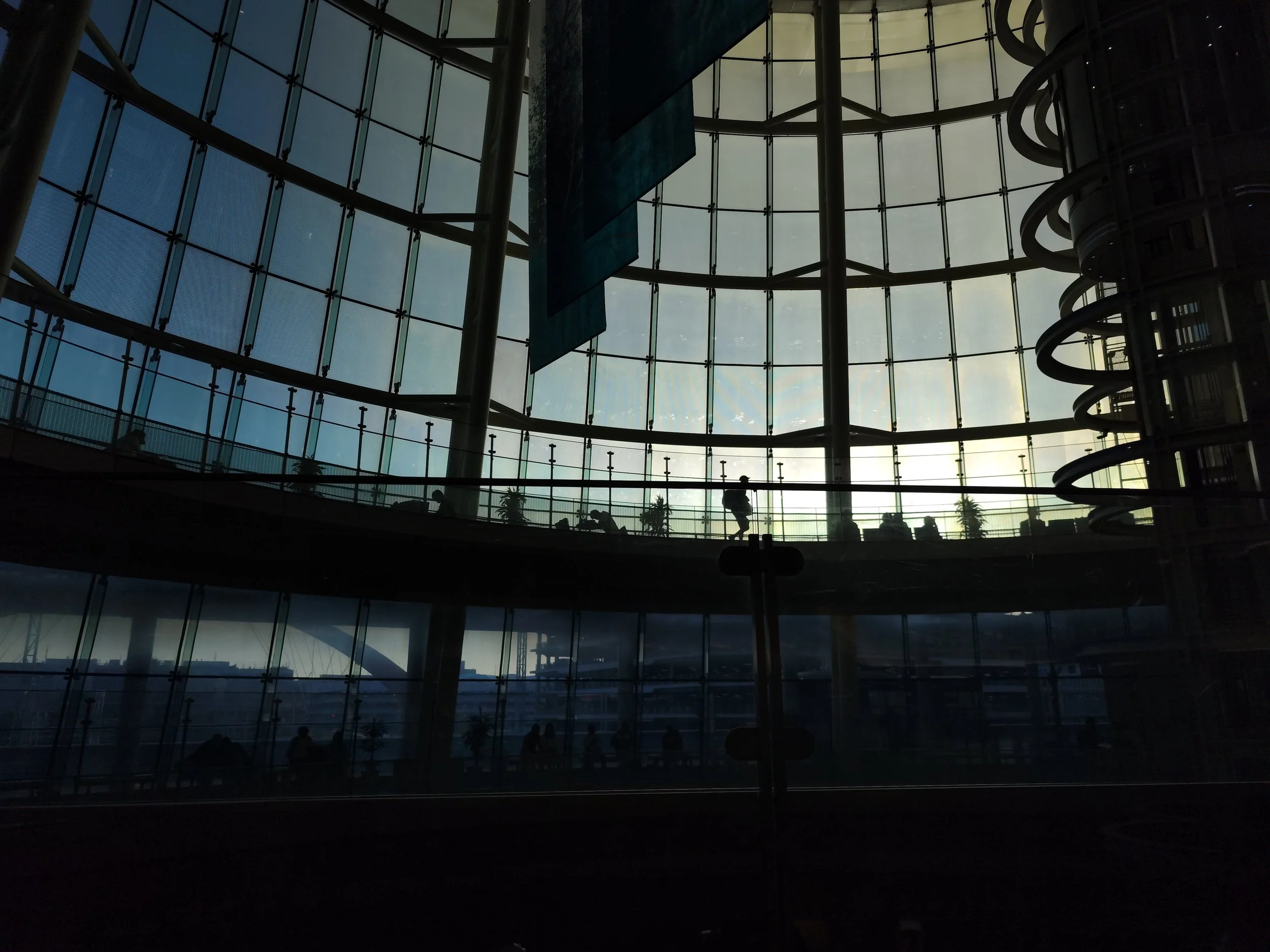 IMG_20260505_174430.jpg