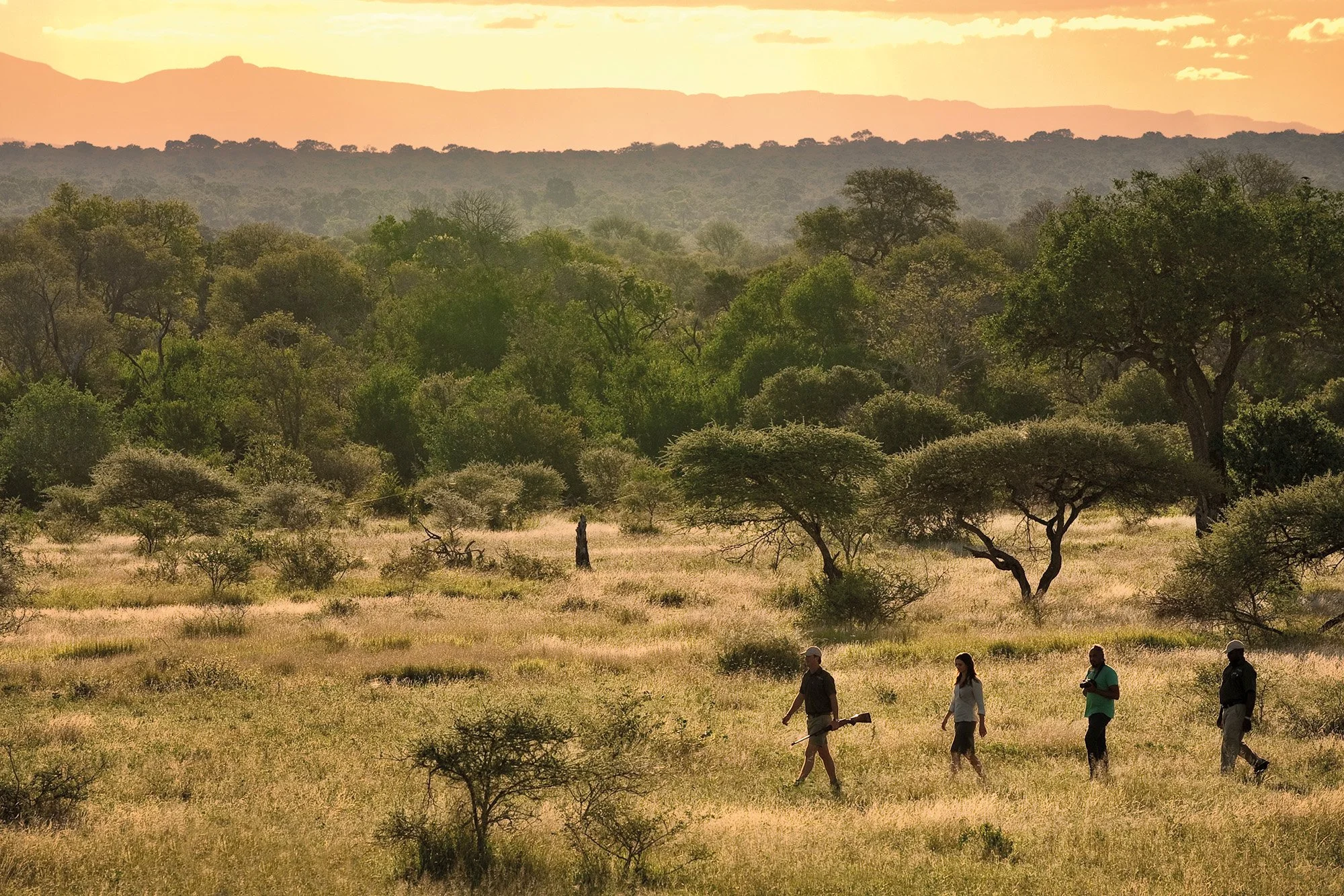 Lion Sands_Safari_4_Bush Walk-4.jpg