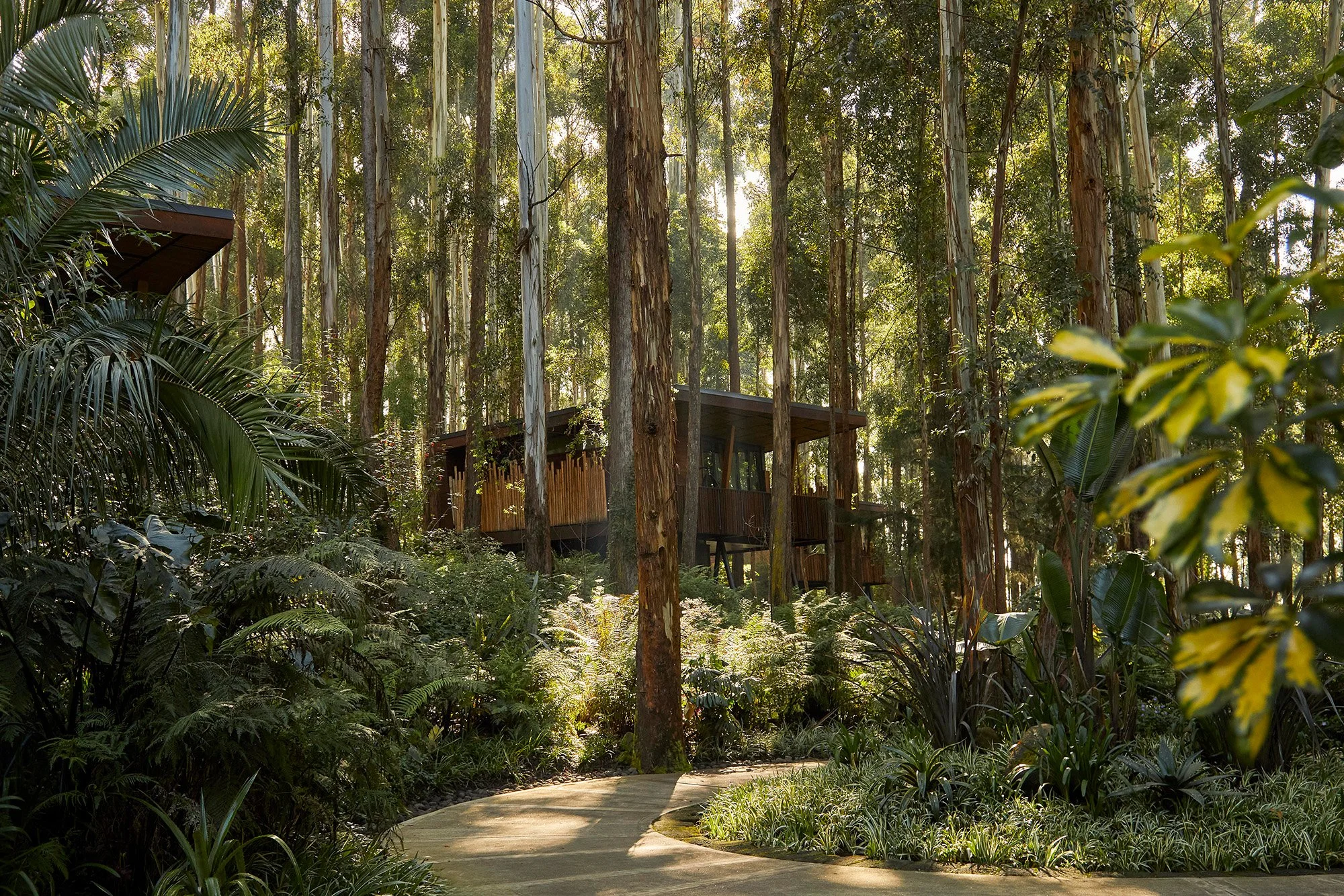 OO_GorillasNest_Exterior_Villa_094_MASTER_HR.jpg