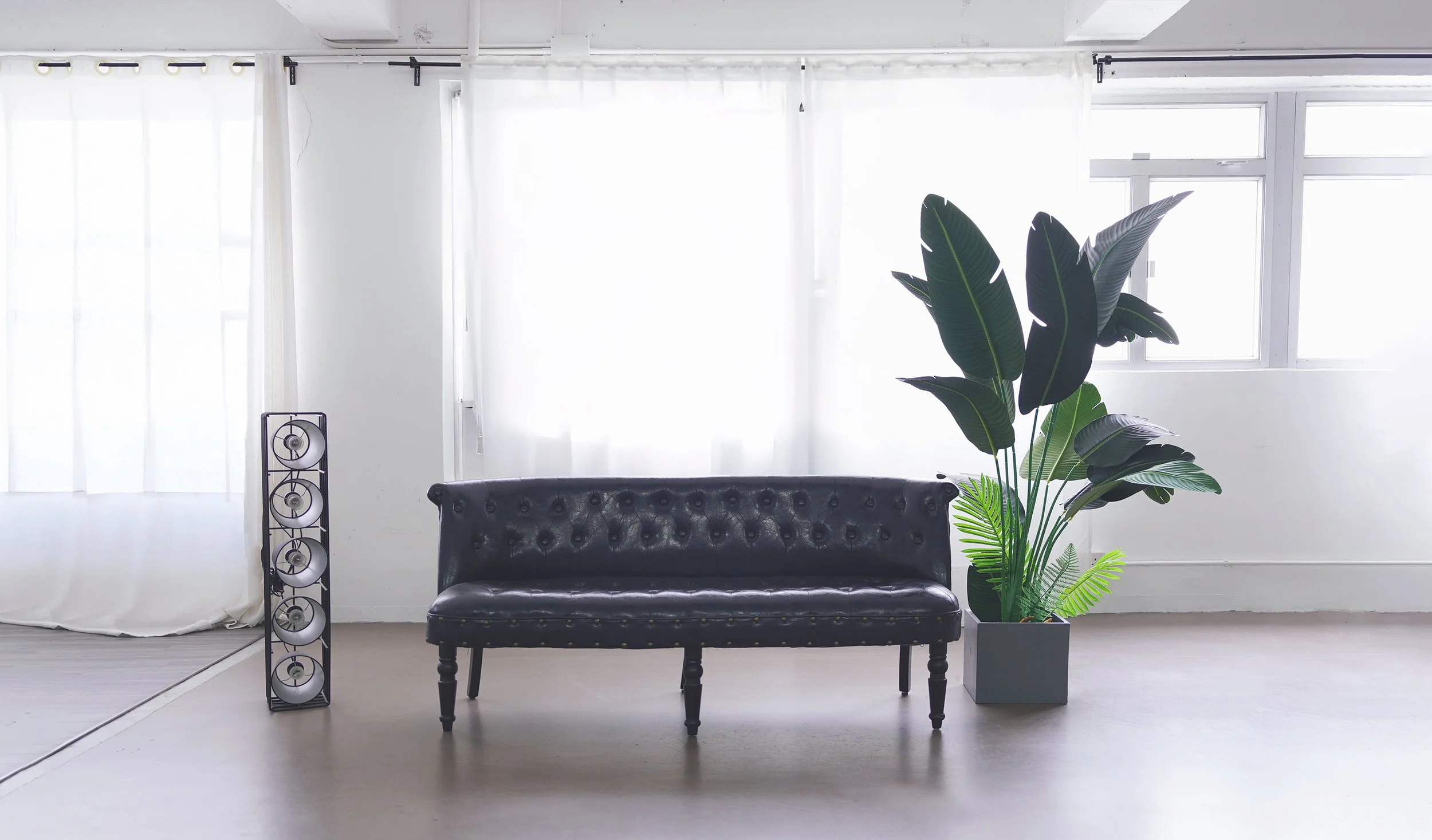Minimalist living room with a black leather tufted sofa, a tall potted green plant, white curtains, and a floor standing speaker.