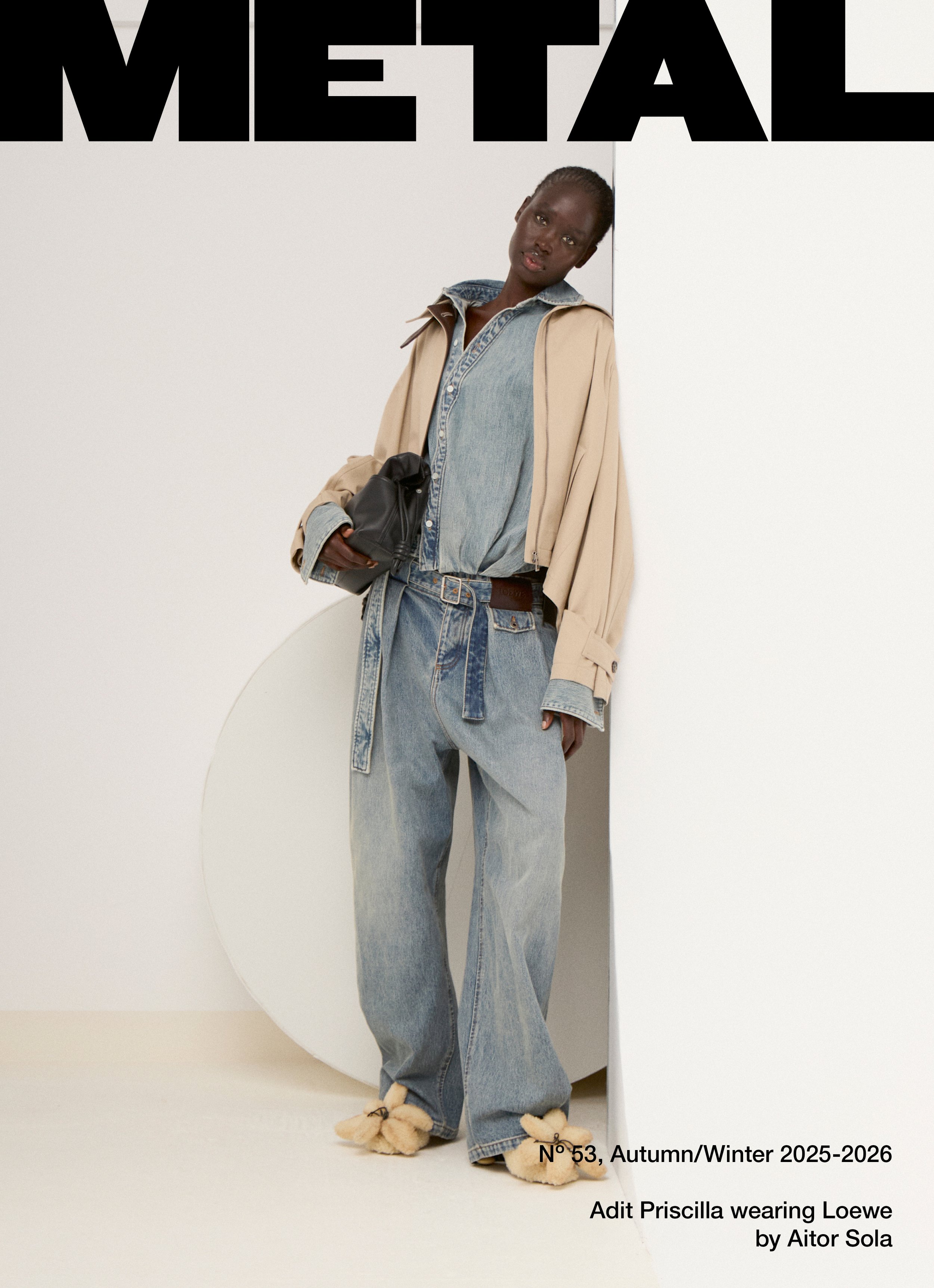 5-METAL53-LOEWE.jpg