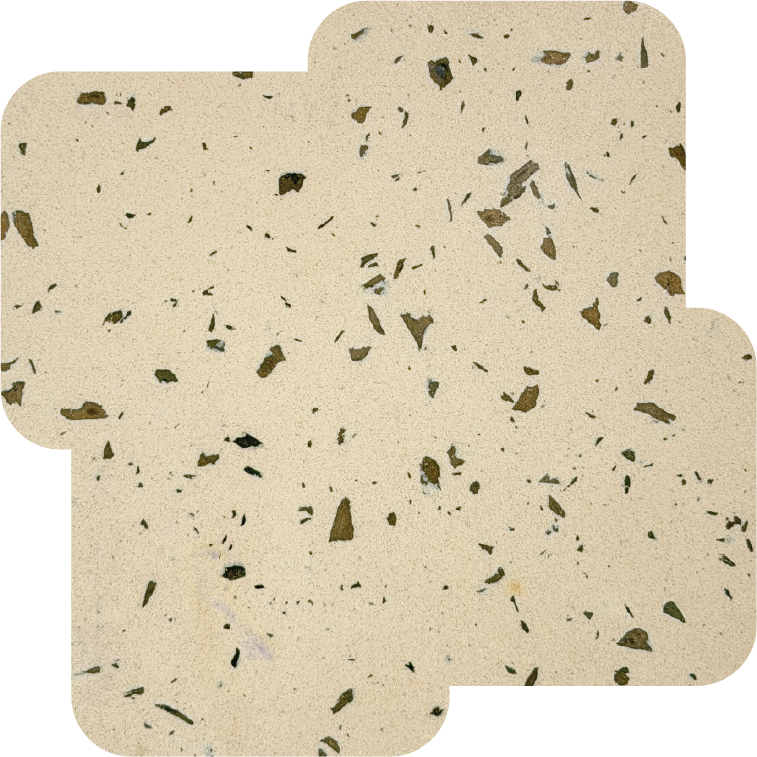 Winter Walnut
