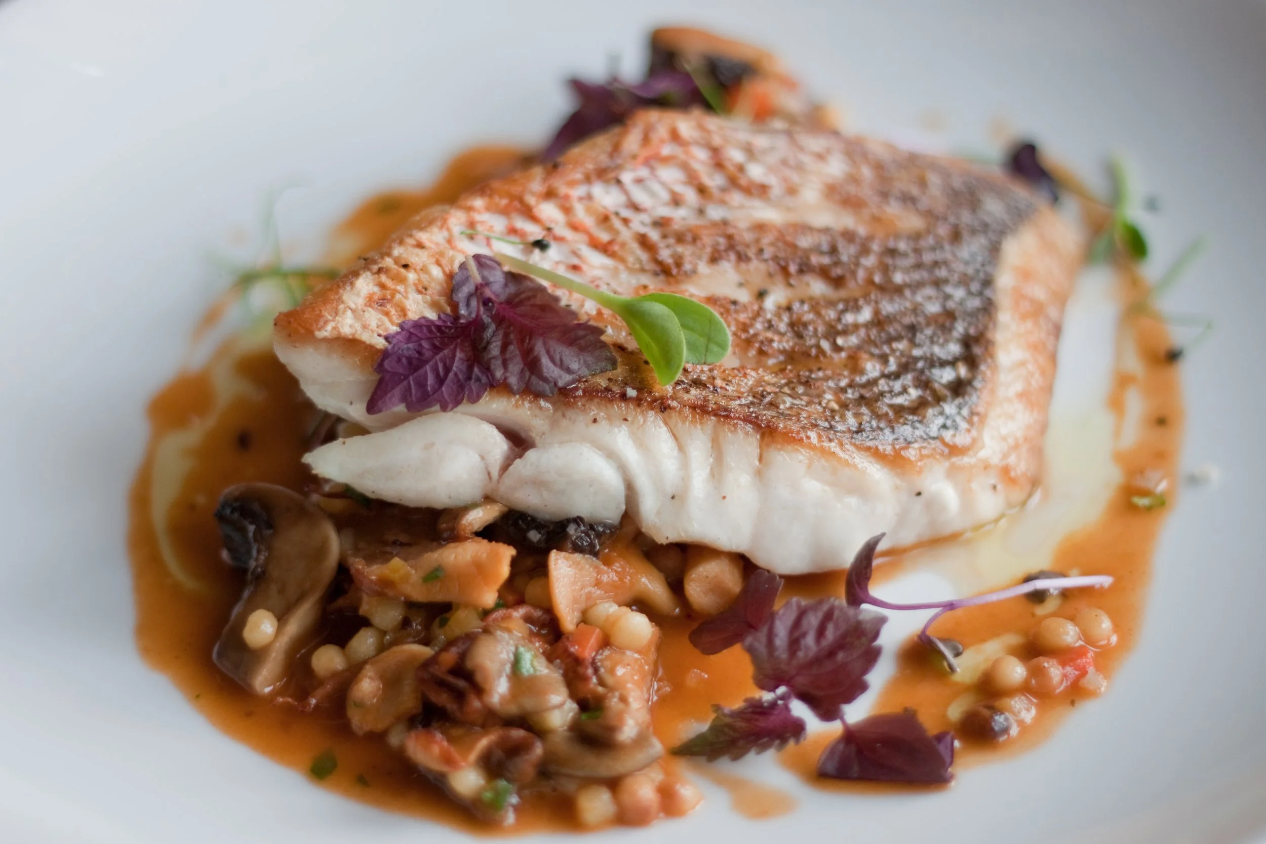 American Snapper, fregola, wild mushroom ragu.jpg
