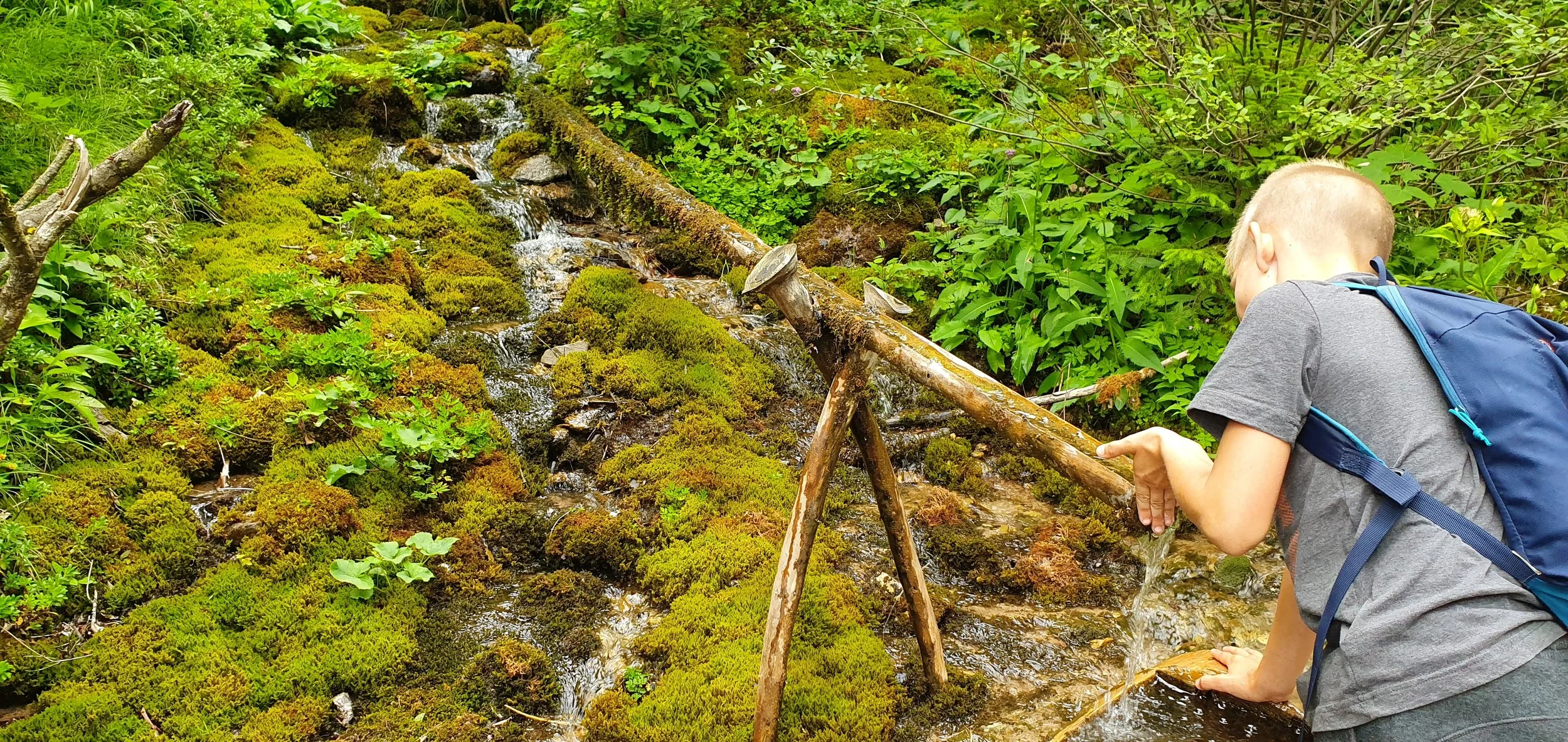 A young boy with a gray T-shirt and a blue backpack leaning over a small moss-covered stream, holding a stick, in a lush green forest.