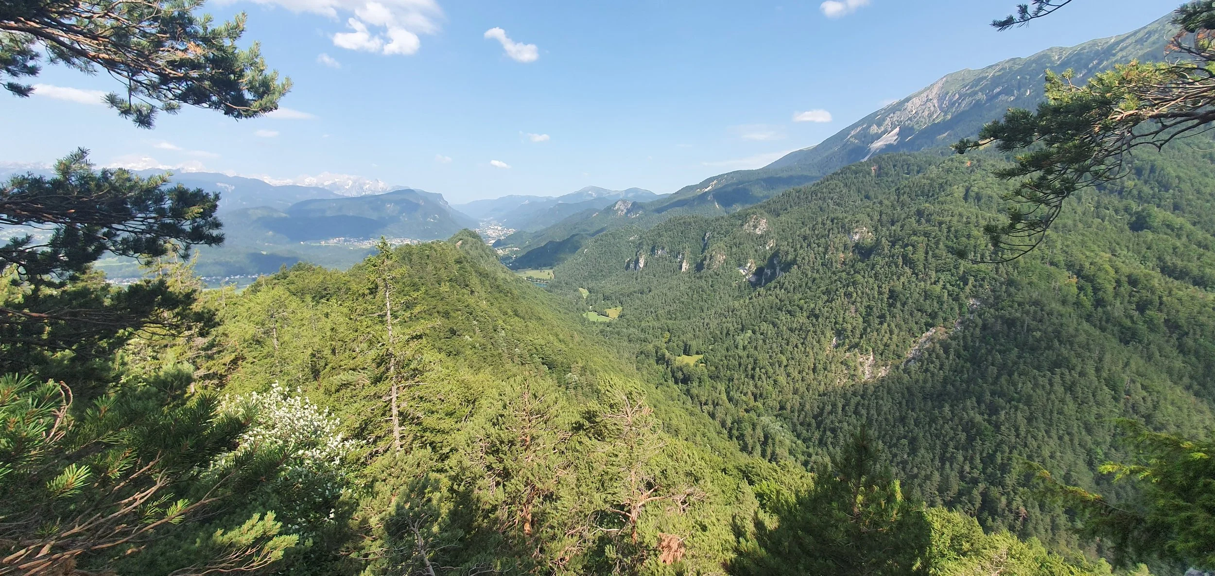 Lush green forested mountains under a clear blue sky with a few clouds, viewed through tree branches.