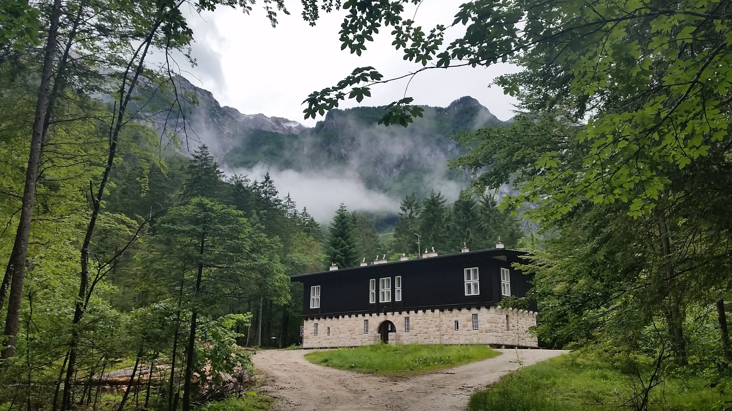 A black and white house with multiple windows surrounded by green trees in a forested area, with mountains and fog in the background.