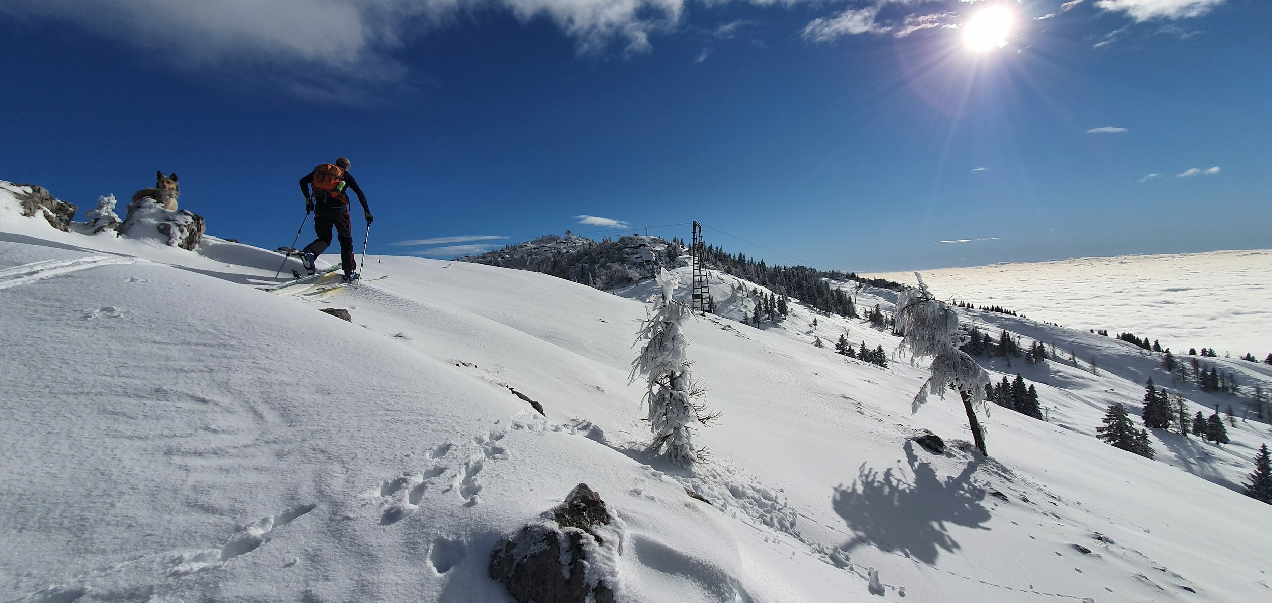 A person skiing in a snow-covered mountainous landscape with a dog sitting on snow-covered rocks, snow-laden trees, and a bright sun in the clear sky.