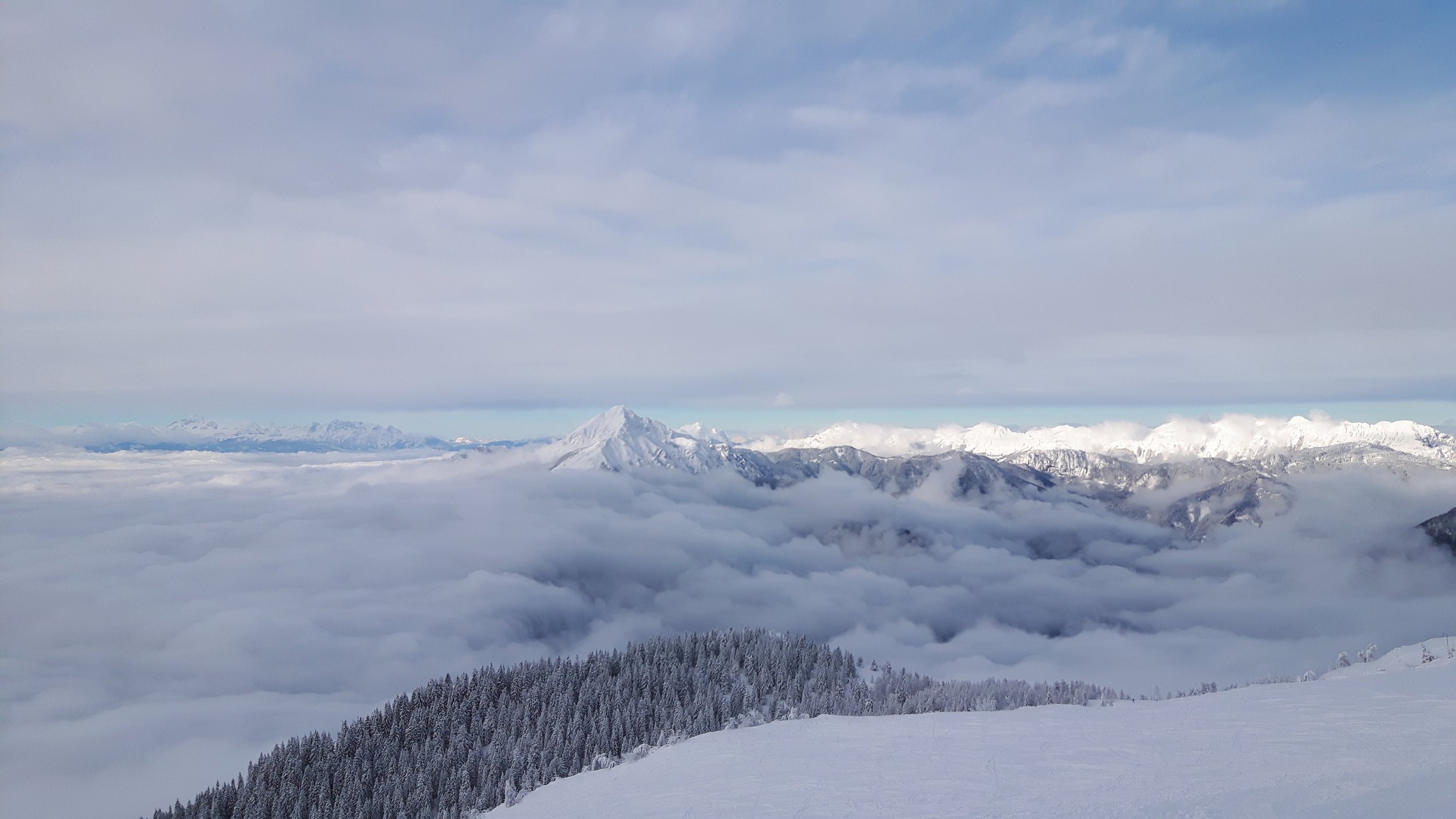 Snow-covered mountain range with clouds below, a forested hillside in the foreground, and a partly cloudy sky overhead.