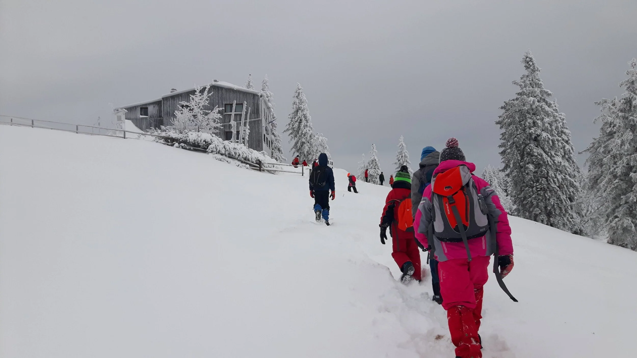 Group of people walking through snowy landscape on a hill next to a rustic wooden cabin surrounded by snow-covered trees.