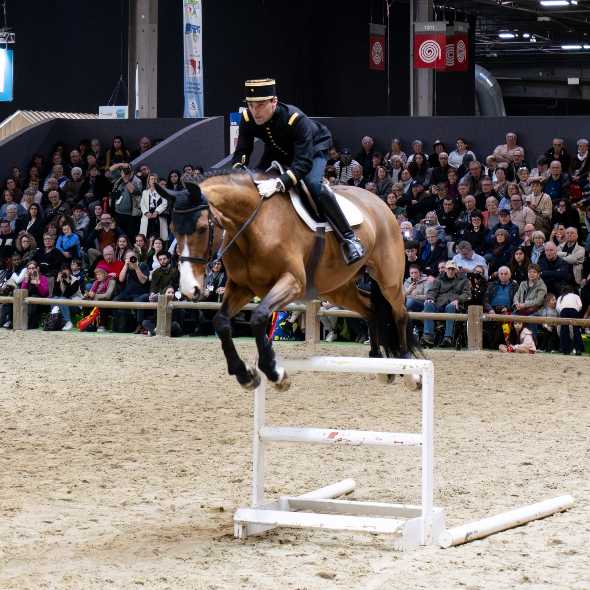 La France aussi est folle de « l’année du Cheval de Feu » : la troupe équestre des Cavaliers noirs au Salon de l’agriculture de Paris