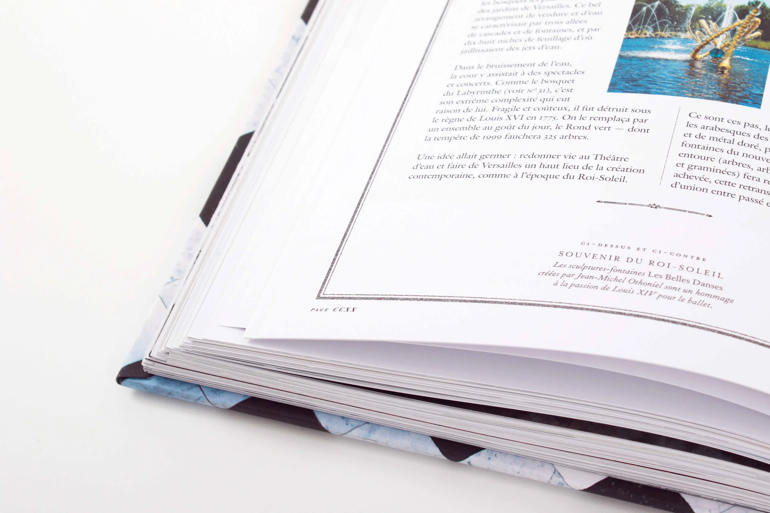Photo d'un livre ouvert avec un texte en français et une petite photo colorée en haut à droite, posé sur une surface blanche.