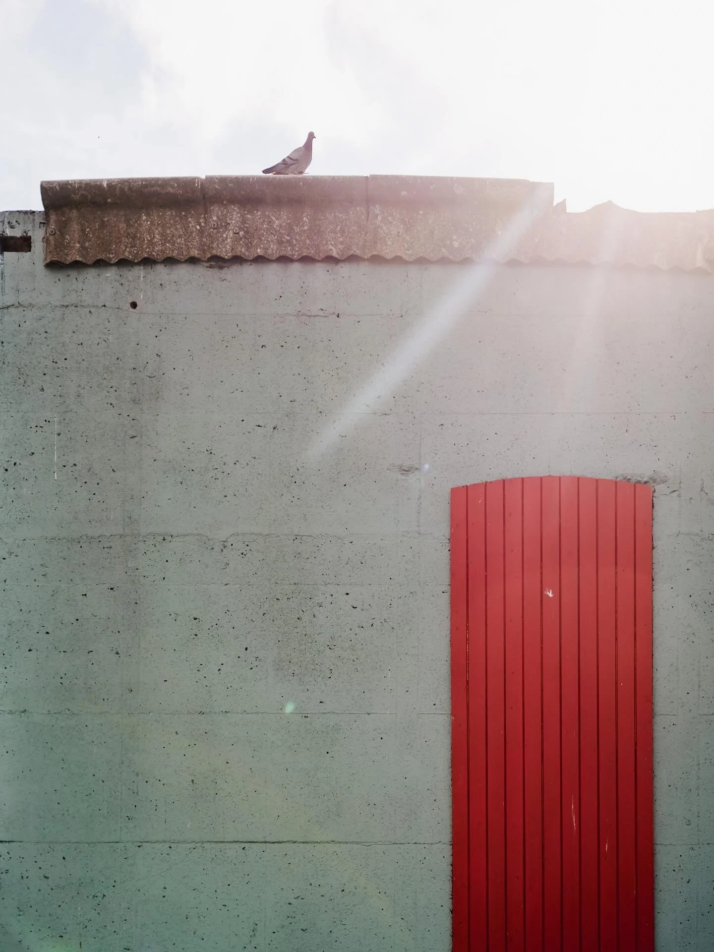 It&rsquo;s install week! We can&rsquo;t wait to share this incredible show with you. Opens from this Saturday 12th July. Gallery hours Wed - Sun 10am to 5pm. #MustSee #Artin Waterford #THingstodoinWaterford #WaterfordGreenway #CopperCoast #Contempora