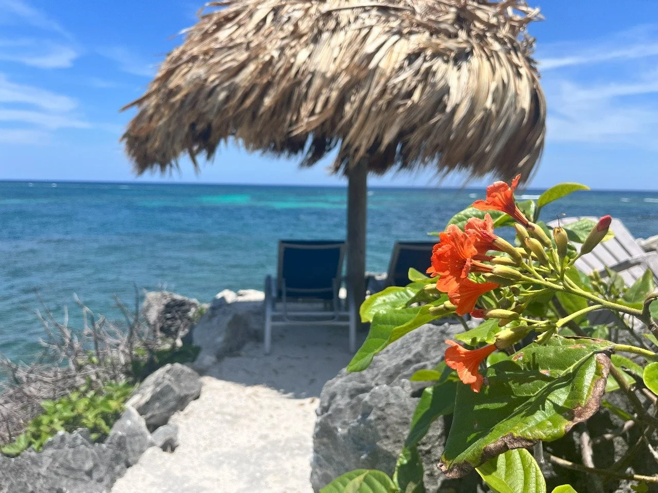 Beach scene with a thatched umbrella, two lounge chairs, orange flowers in the foreground, rocky pathway, ocean, and blue sky.