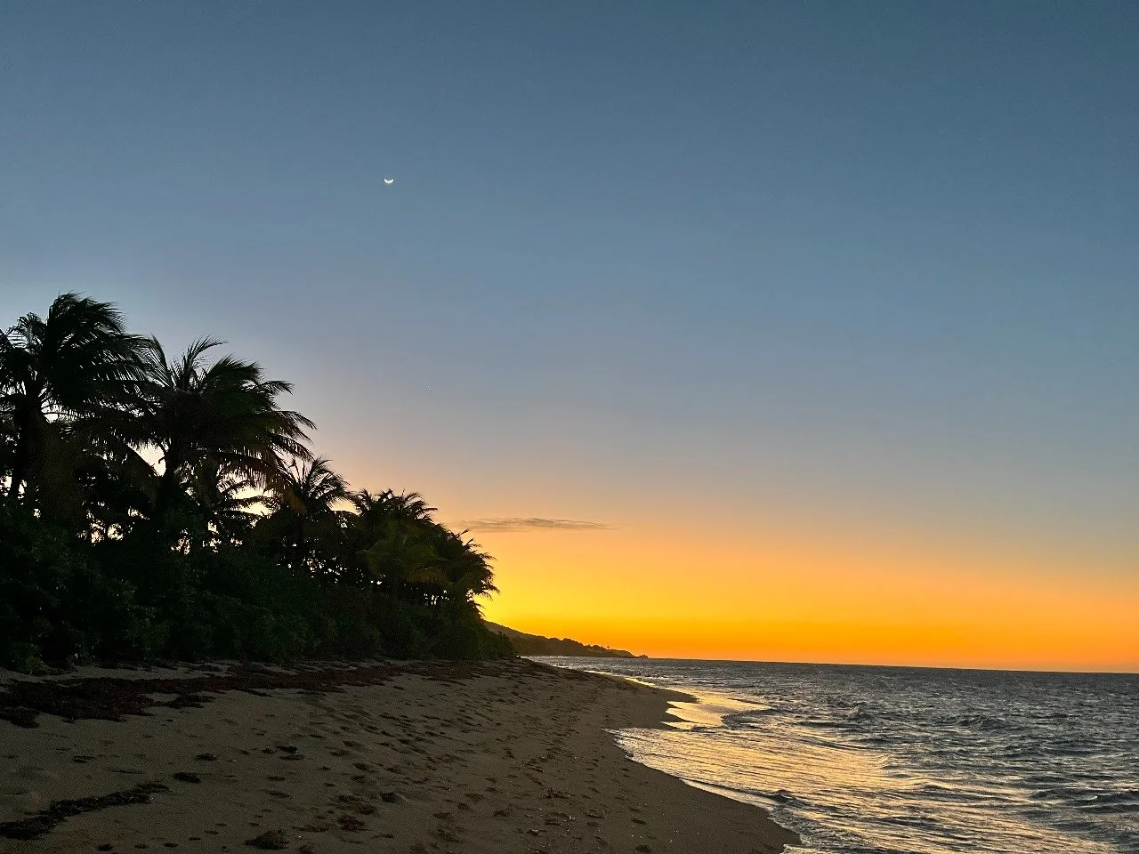 Beach at sunset with palm trees on the left, calm ocean on the right, and a crescent moon in the sky.