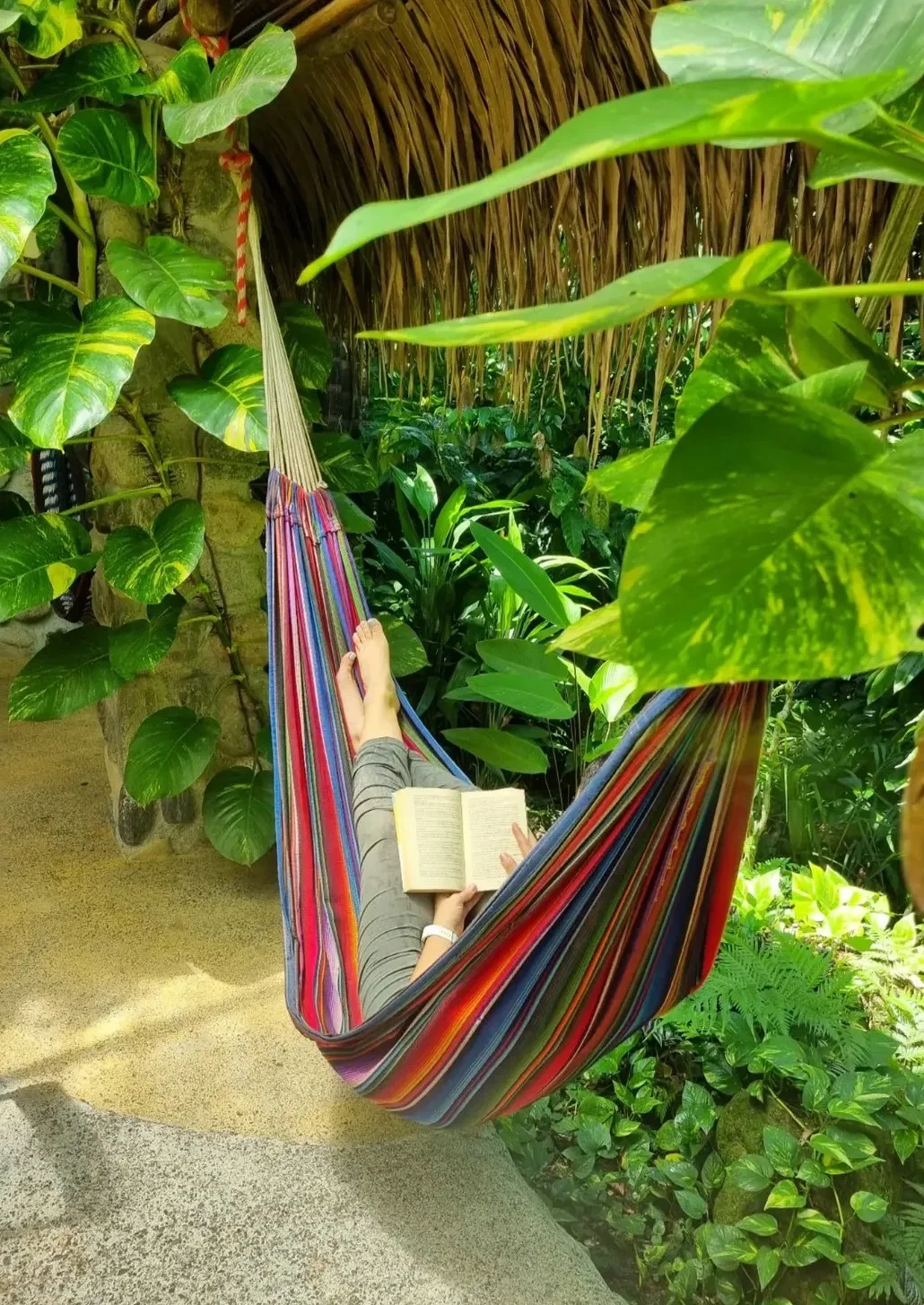 Person lying in a colorful hammock, reading a book in a lush, green tropical garden.