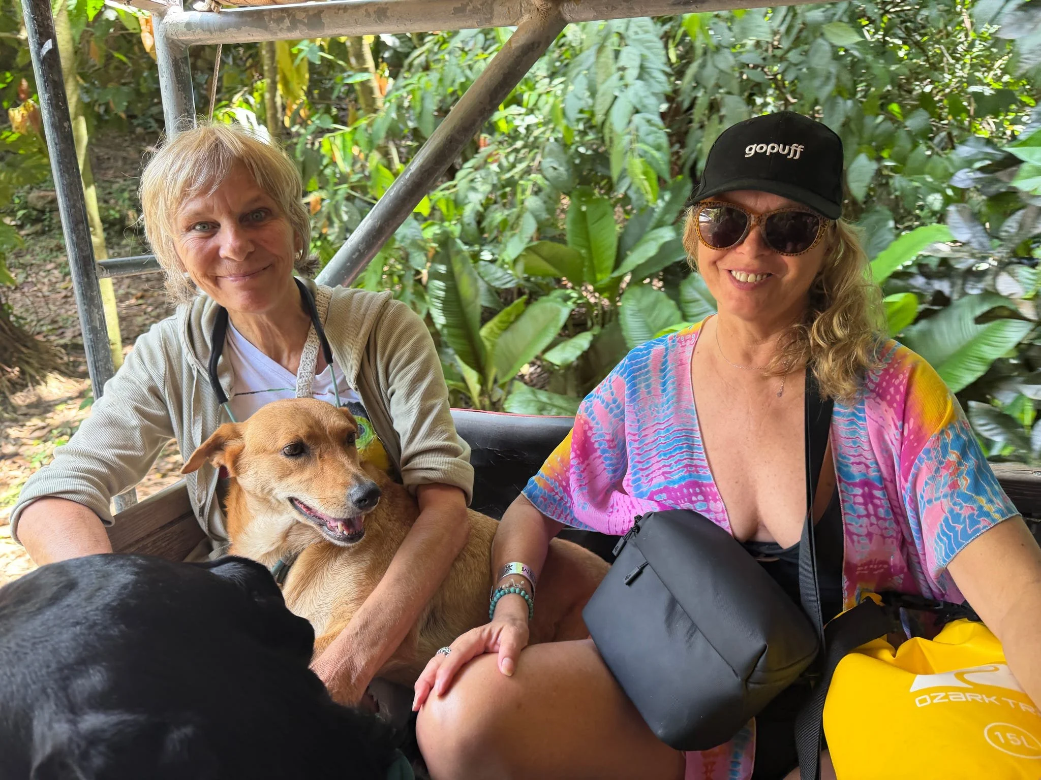 Two women and three dogs sitting in a vehicle with lush green jungle background. One woman is smiling, wearing a hat and sunglasses, and the other woman is smiling, holding a brown dog. The black dog is partially visible in the foreground.