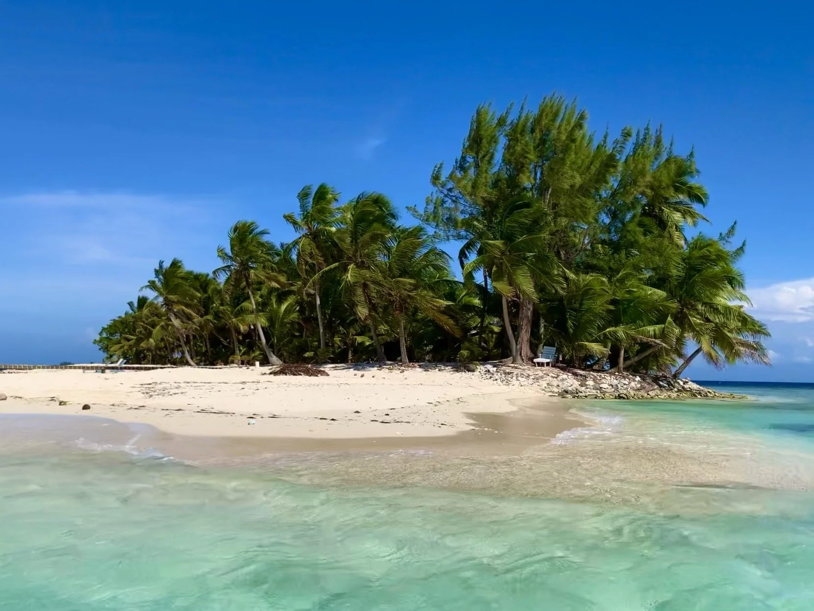 Tropical beach scene with clear turquoise water, white sandy shore, and green palm trees under a blue sky.