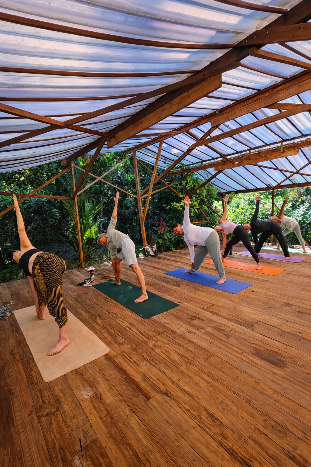 People practicing yoga outdoors on mats, performing side stretches in a wooden shelter with a transparent roof surrounded by greenery.