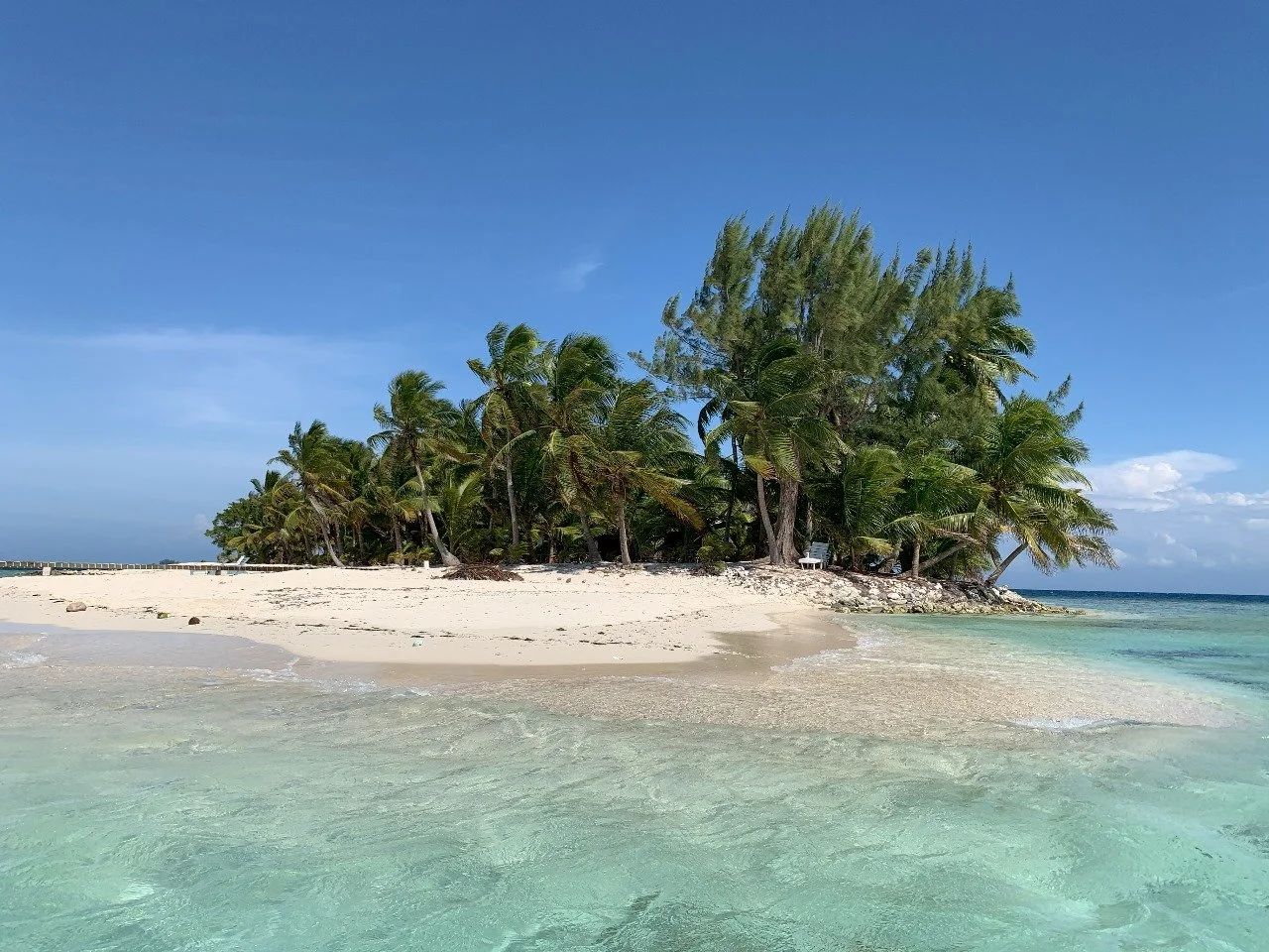 Tropical beach with white sand, clear turquoise water, and a cluster of palm trees under a blue sky.
