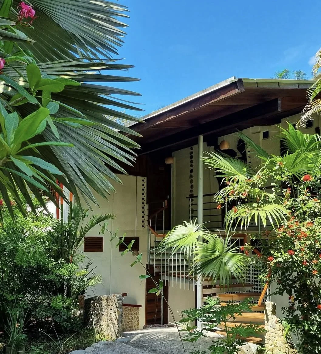 A tropical house surrounded by lush green plants and trees, with a clear blue sky overhead.